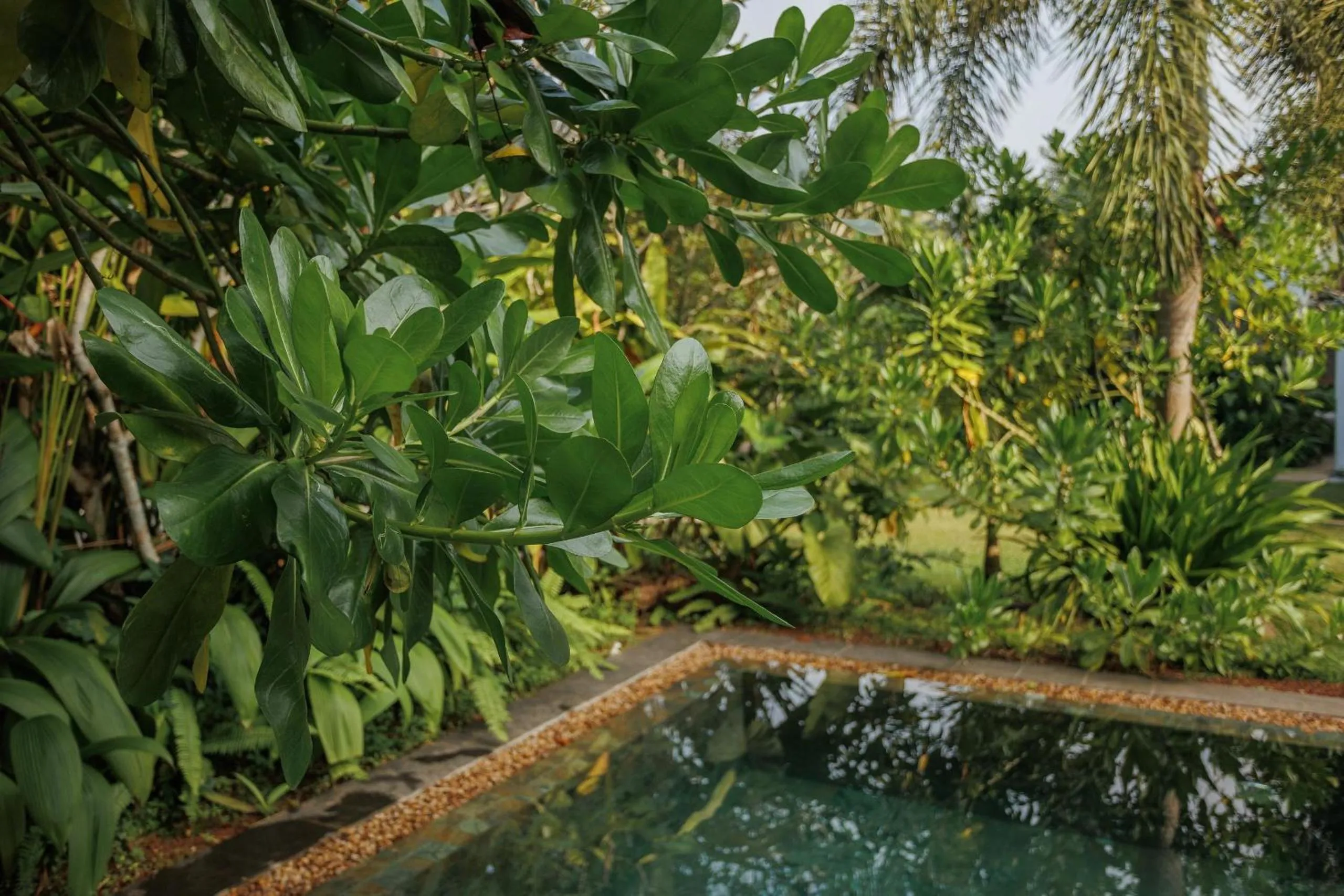 Swimming pool in Villa White Queen Resort & Spa