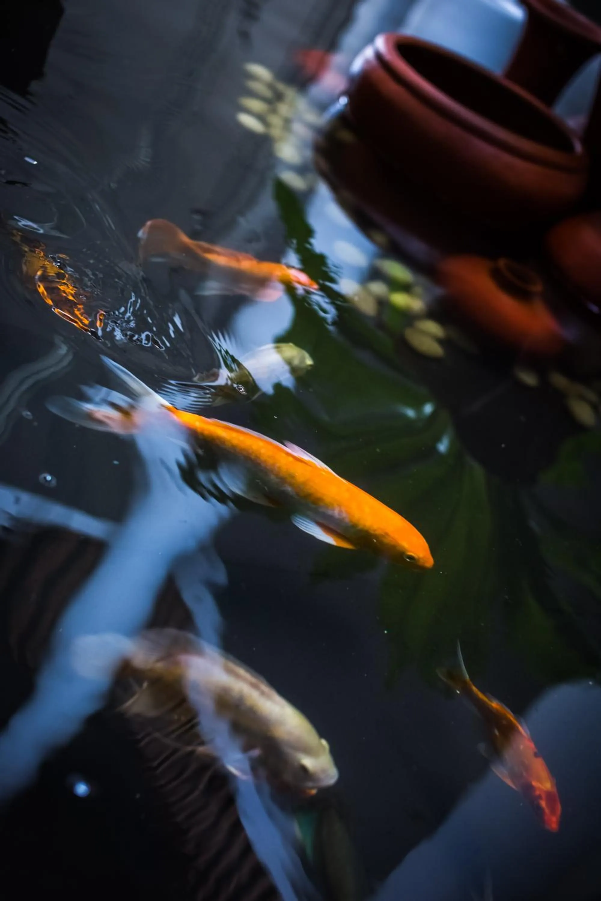 Decorative detail in Villa White Queen Resort & Spa