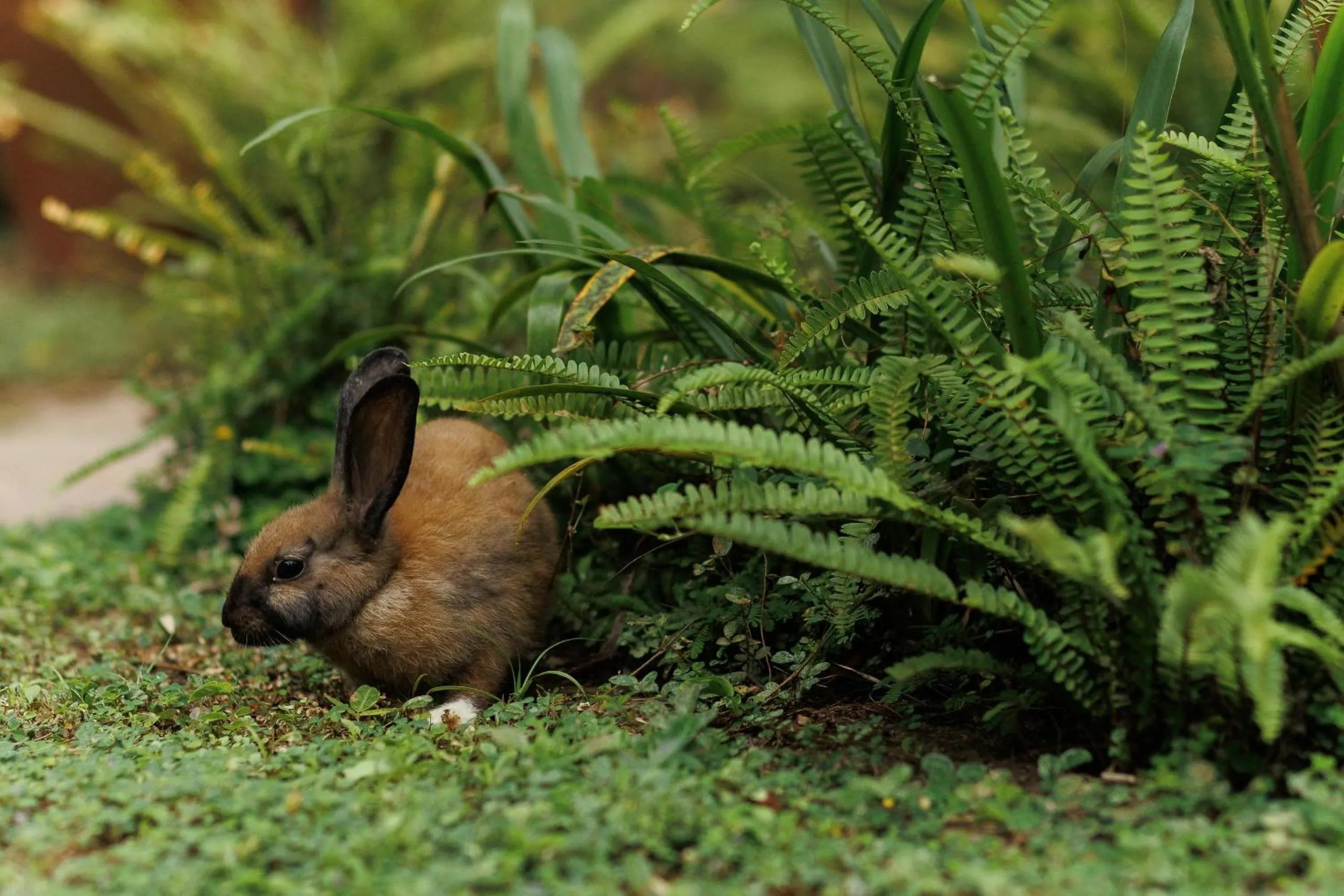 Garden in Villa White Queen Resort & Spa