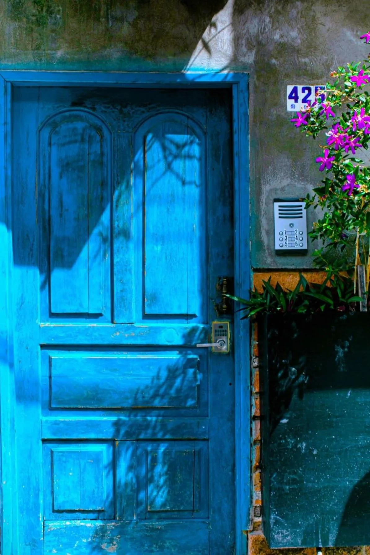 Day in Casa Pancha Puerto Vallarta Centro - Adults Only