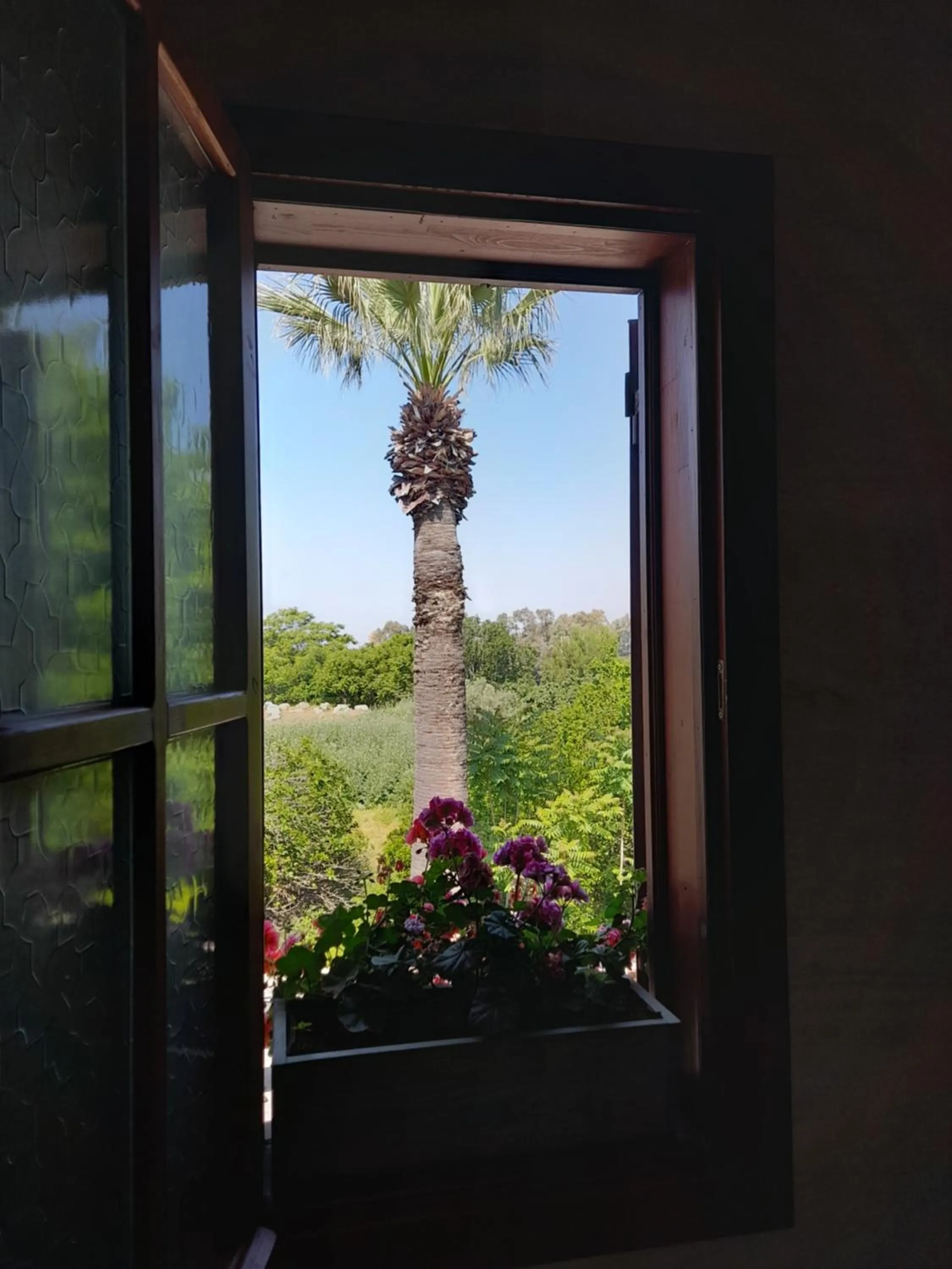 Garden view in Casa Callinos