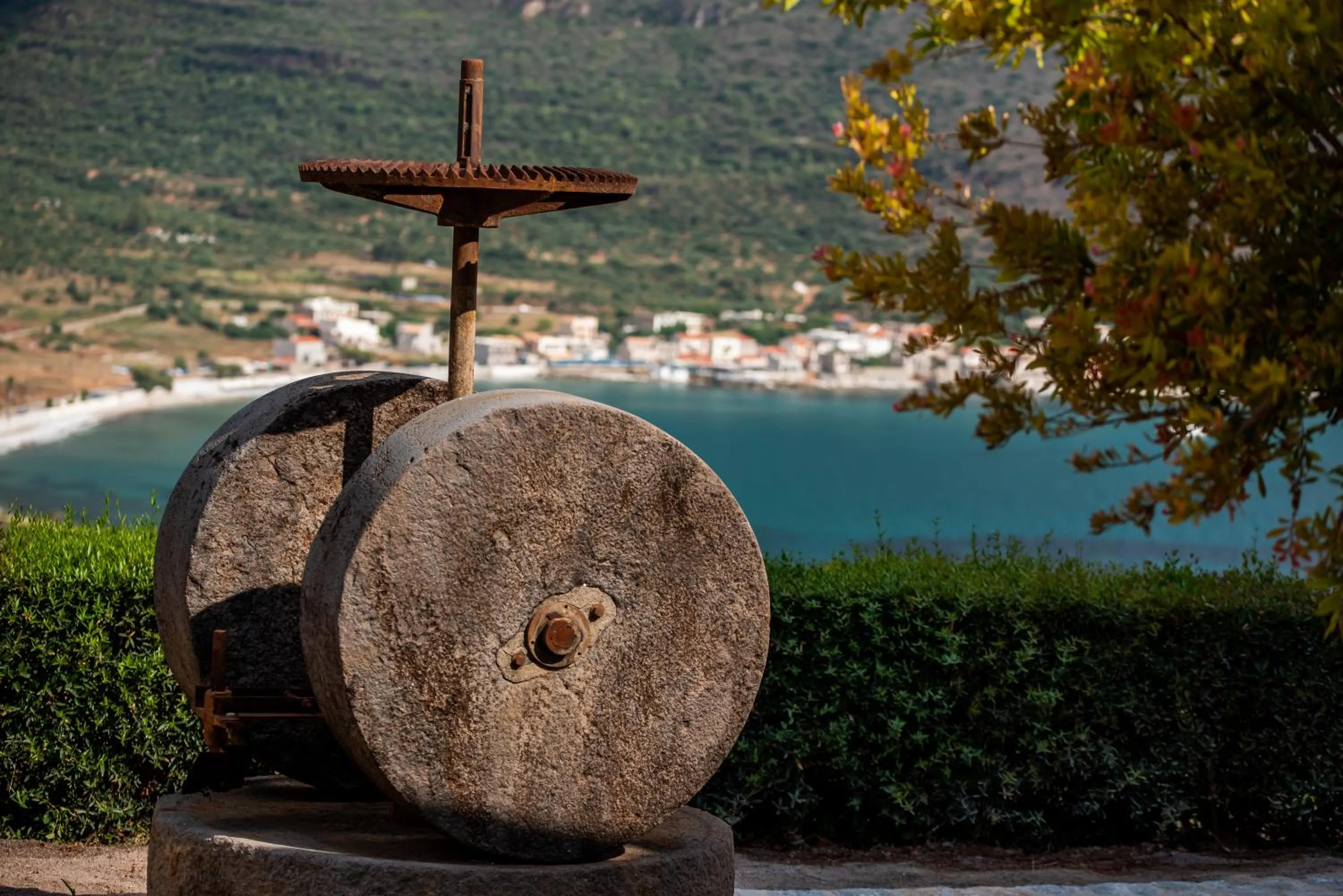 Garden in Manifest Boutique Hotel