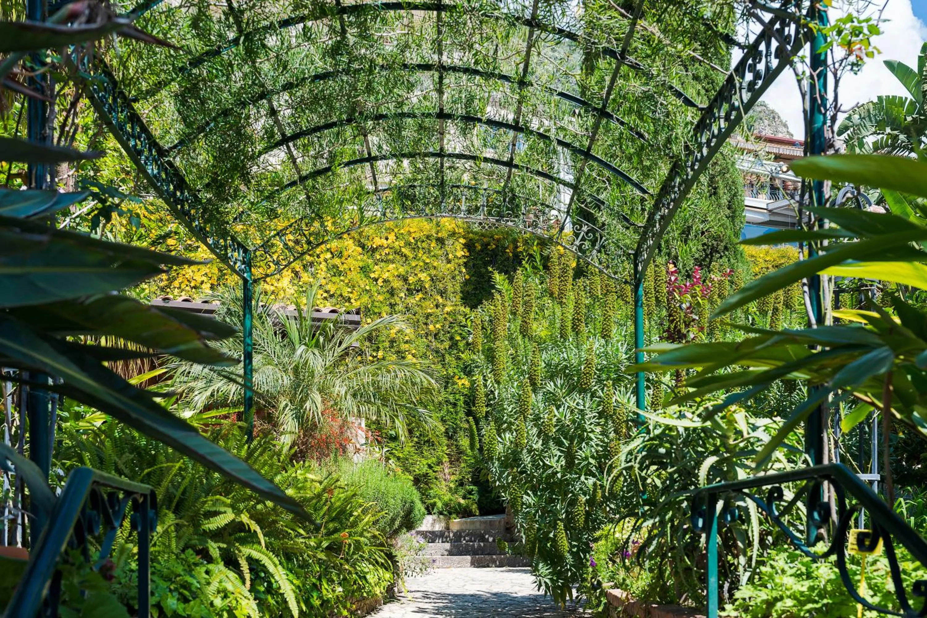 Garden in Hotel Villa Schuler