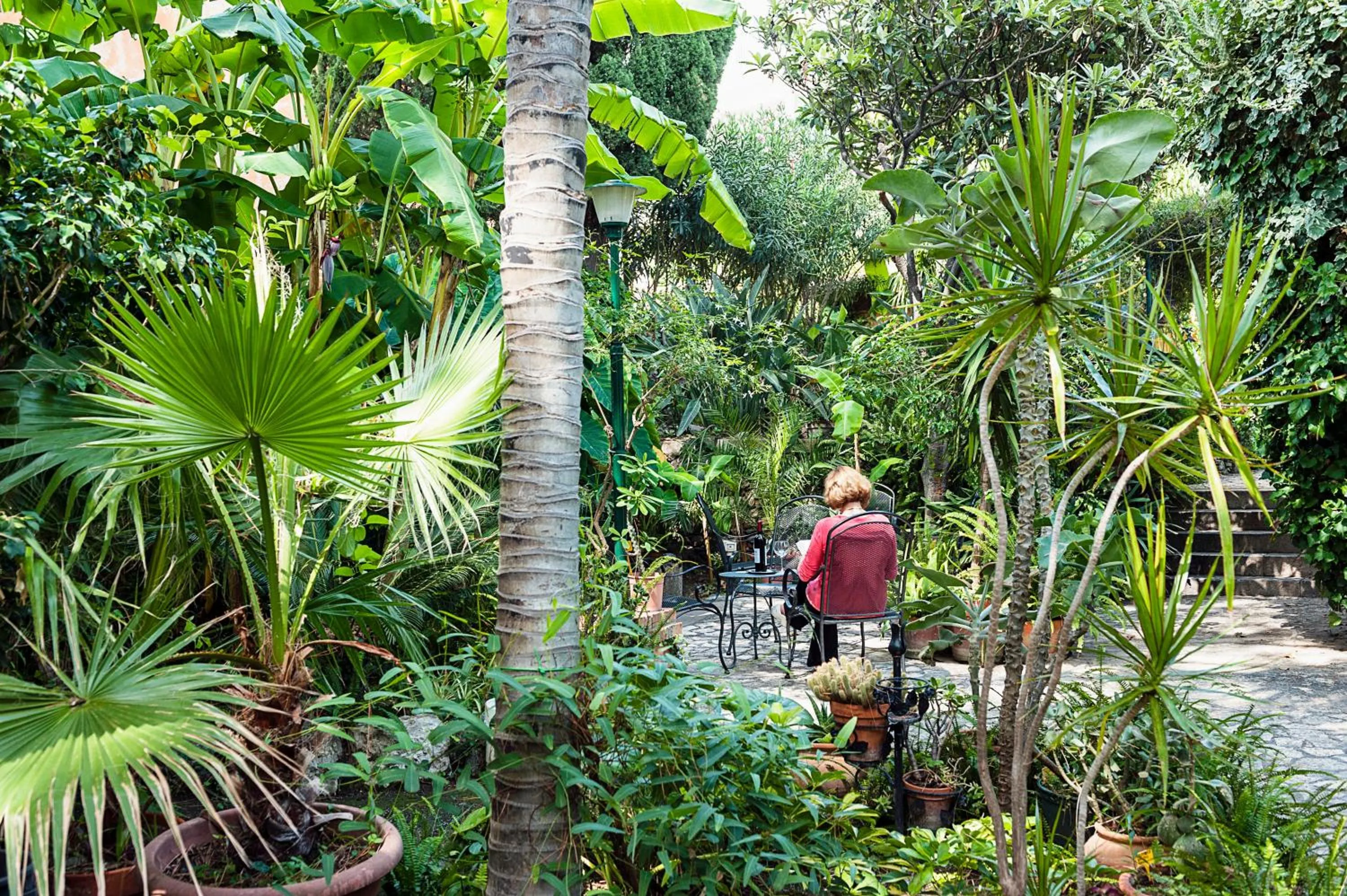 Garden in Hotel Villa Schuler
