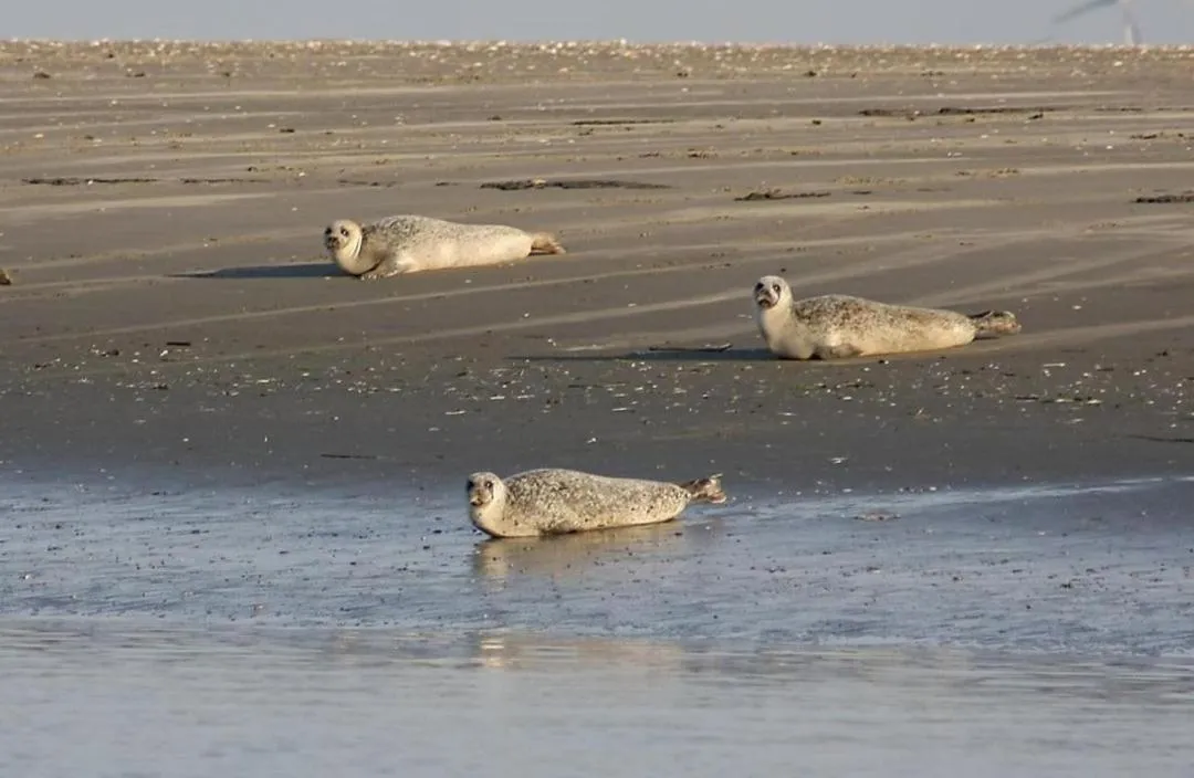 Nearby landmark in Landschaftliches Haus