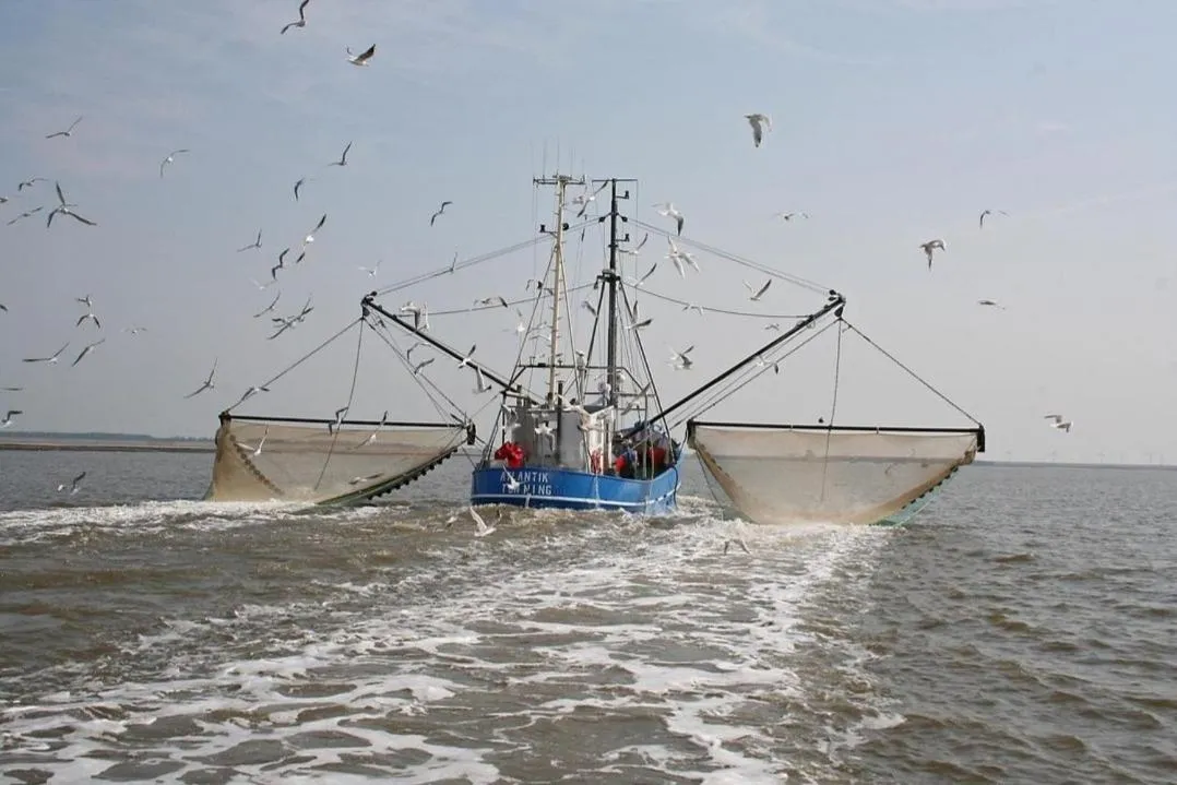 Staff in Landschaftliches Haus