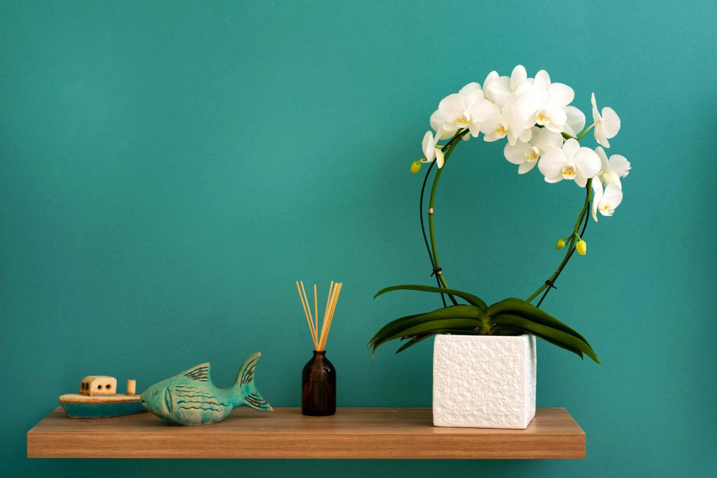 Decorative detail in Saint Sin Suites - Adults Only