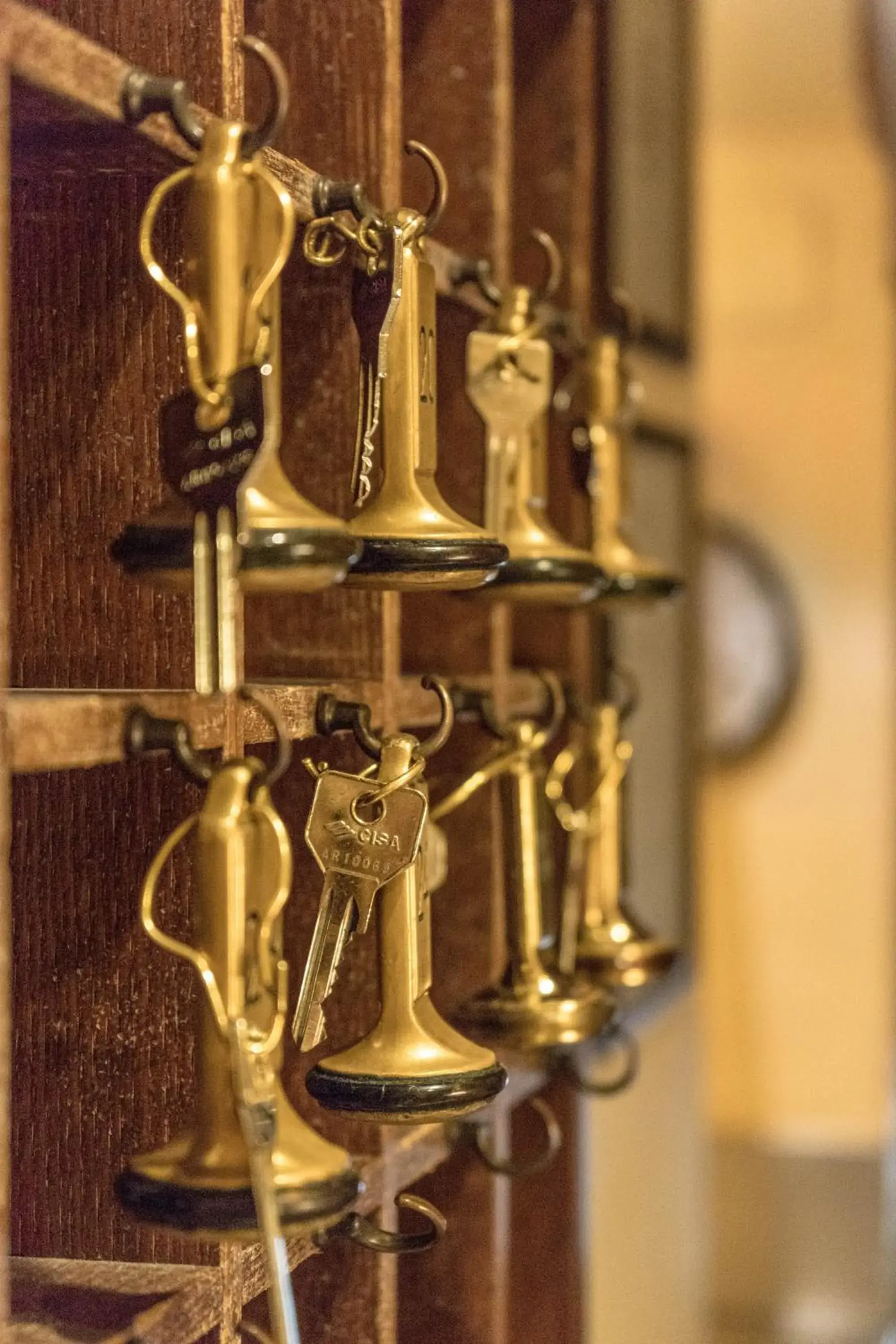 Lobby or reception in Hotel Monica Lobby or reception in Hotel Monica