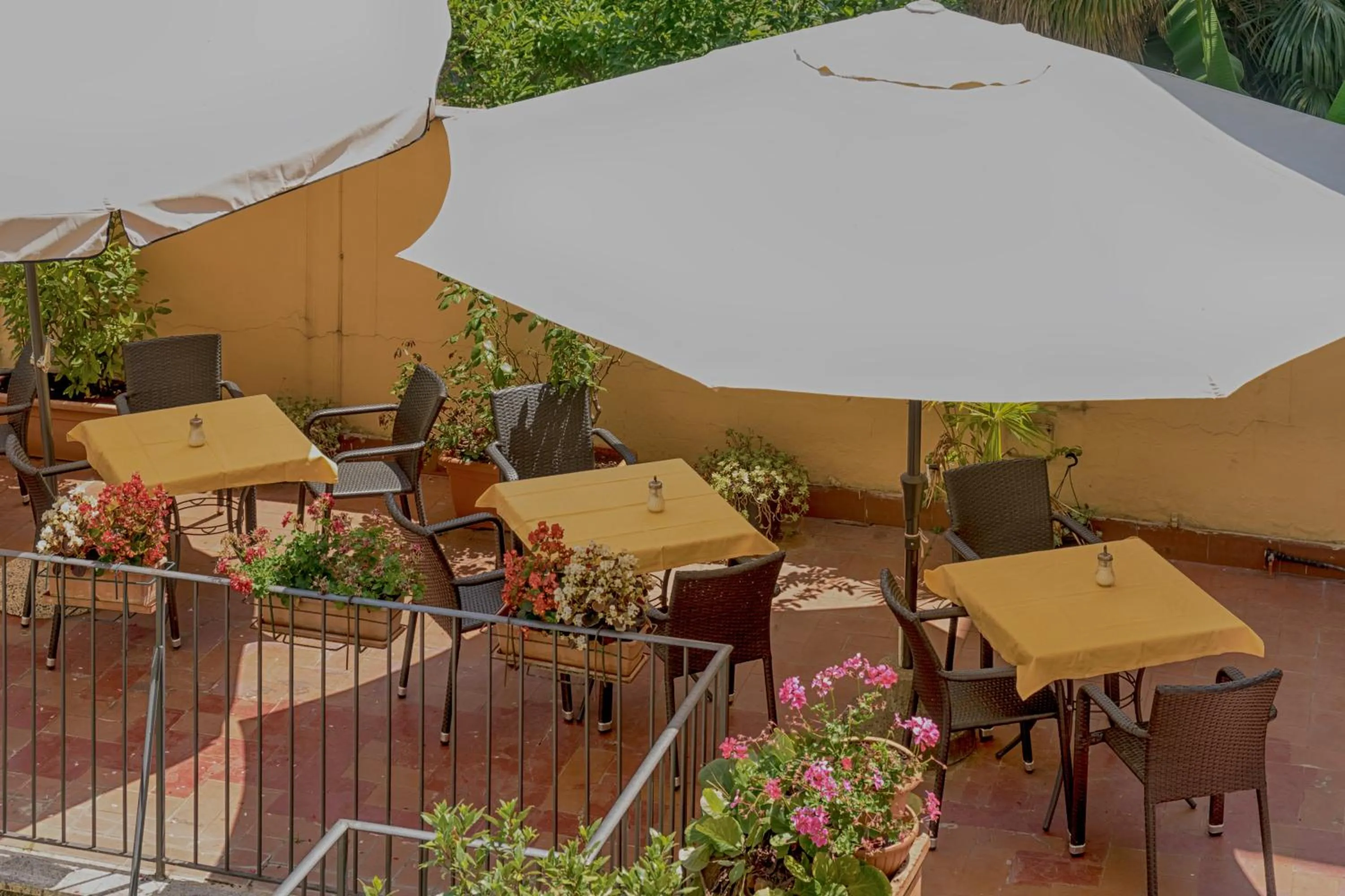 Balcony/Terrace in Hotel Monica