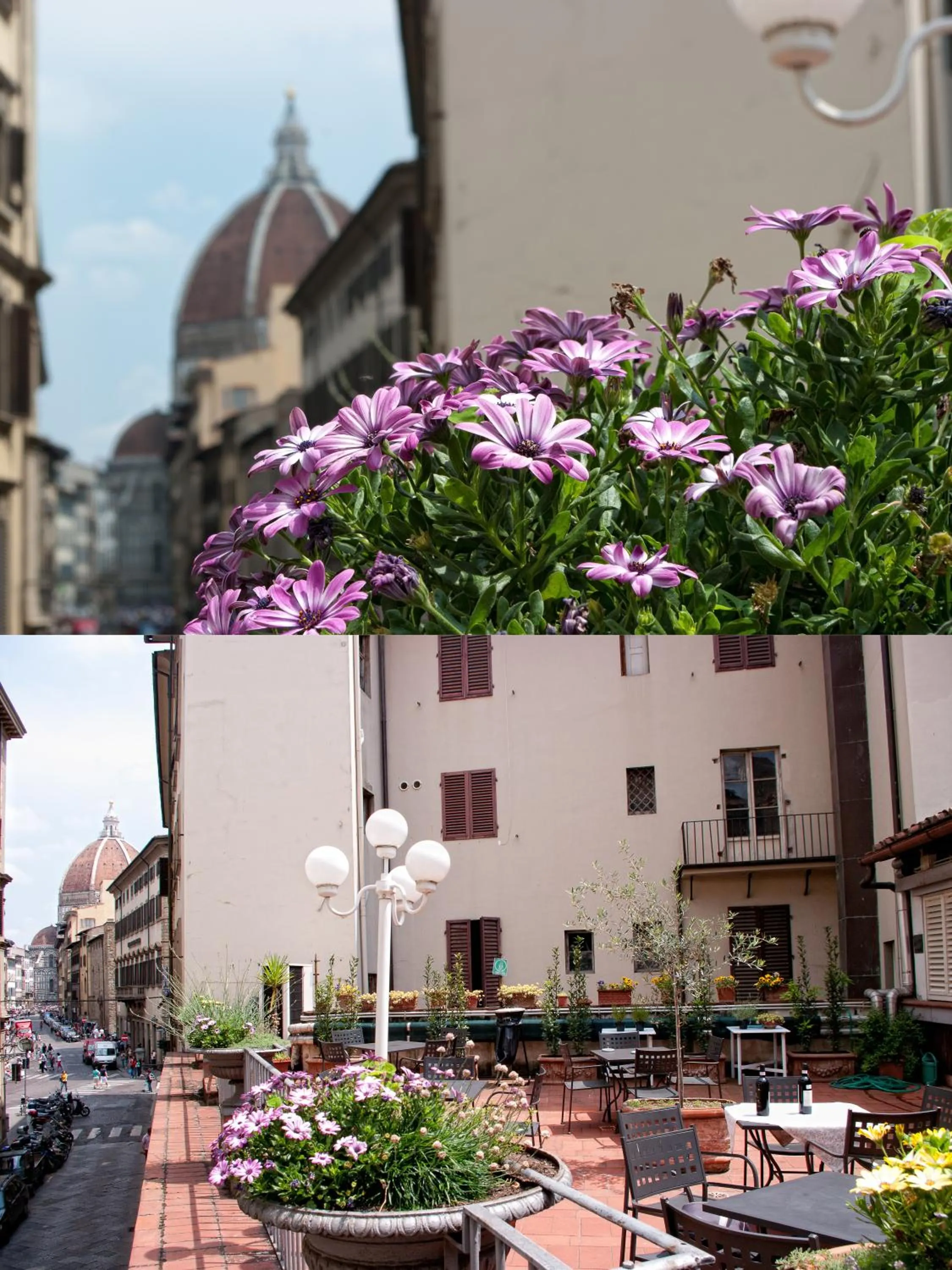 Property building in Hotel Balcony