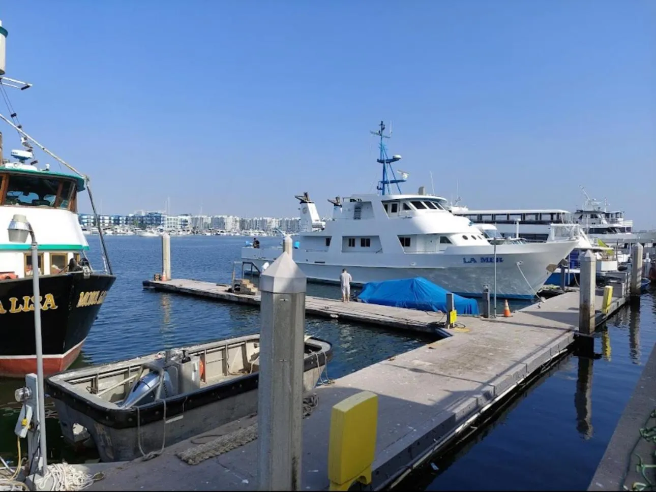 Fishing in The tulip Marina Highrise with ocean view