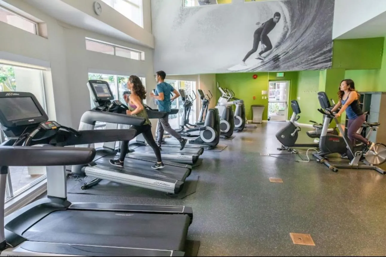 Property building in The tulip Marina Highrise with ocean view