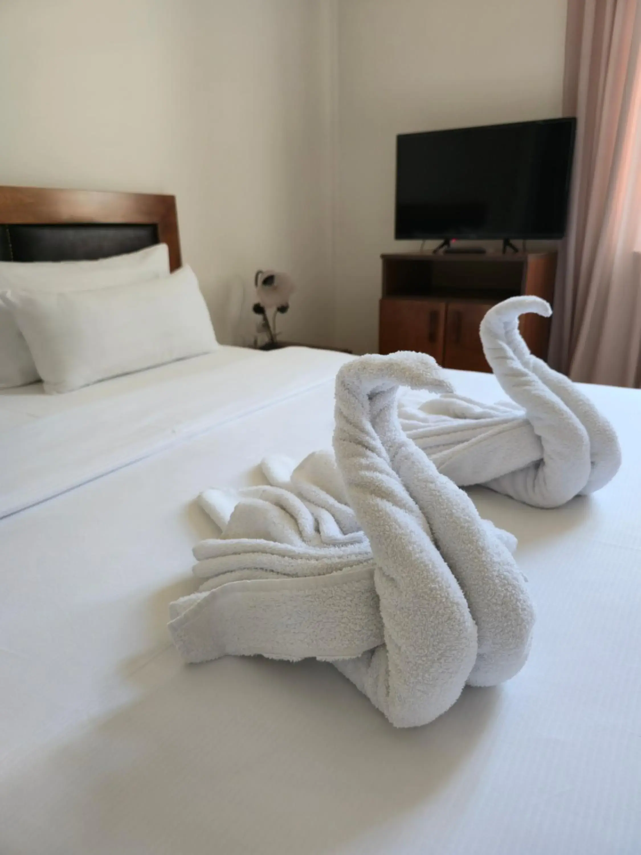 Deluxe Double Room in Devedzic Deluxe Double Room in Devedzic