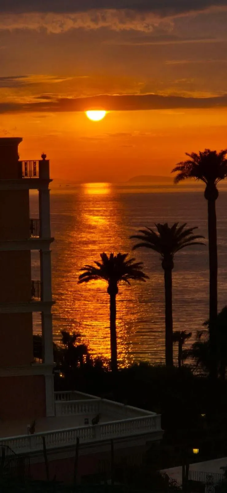 Balcony/Terrace in Hotel La Meridiana
