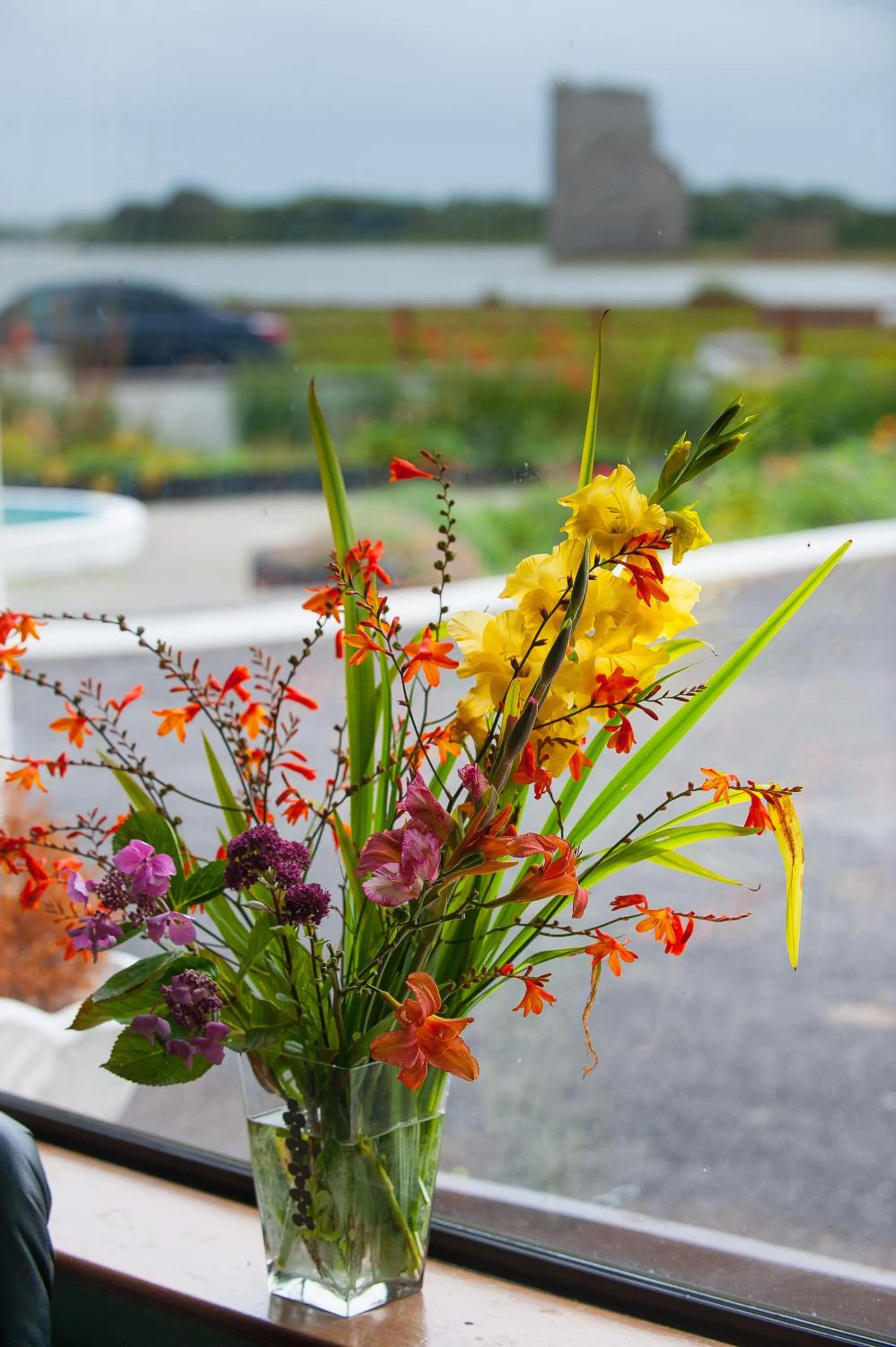 Day in Castle View House