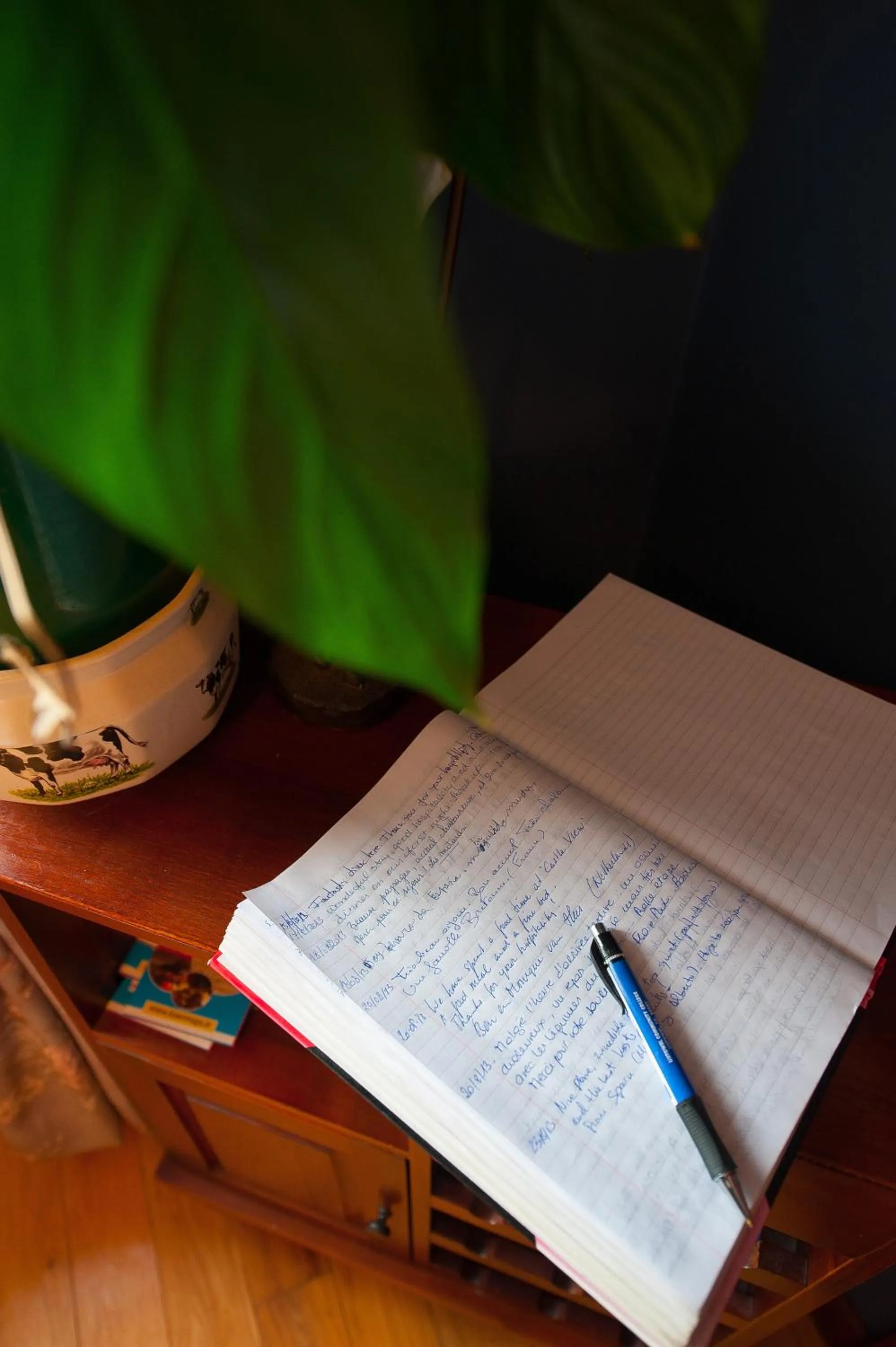 Other in Castle View House