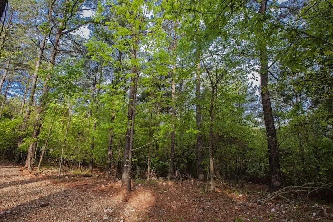 Stone Mountain Lodge 5000sqft 6 Bed Game Room Pool Table Hot Tub