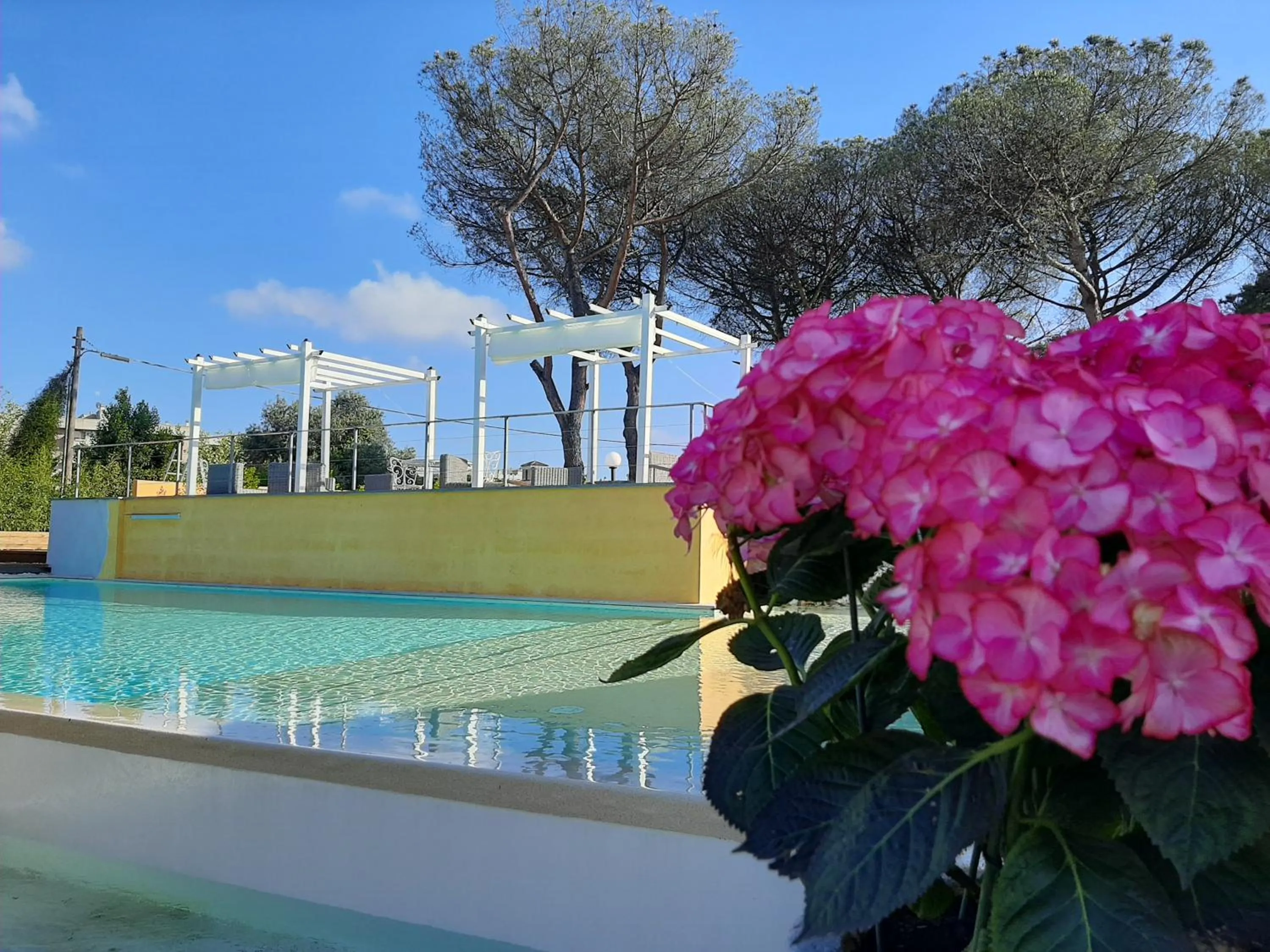 Swimming pool in Orto Di Roma