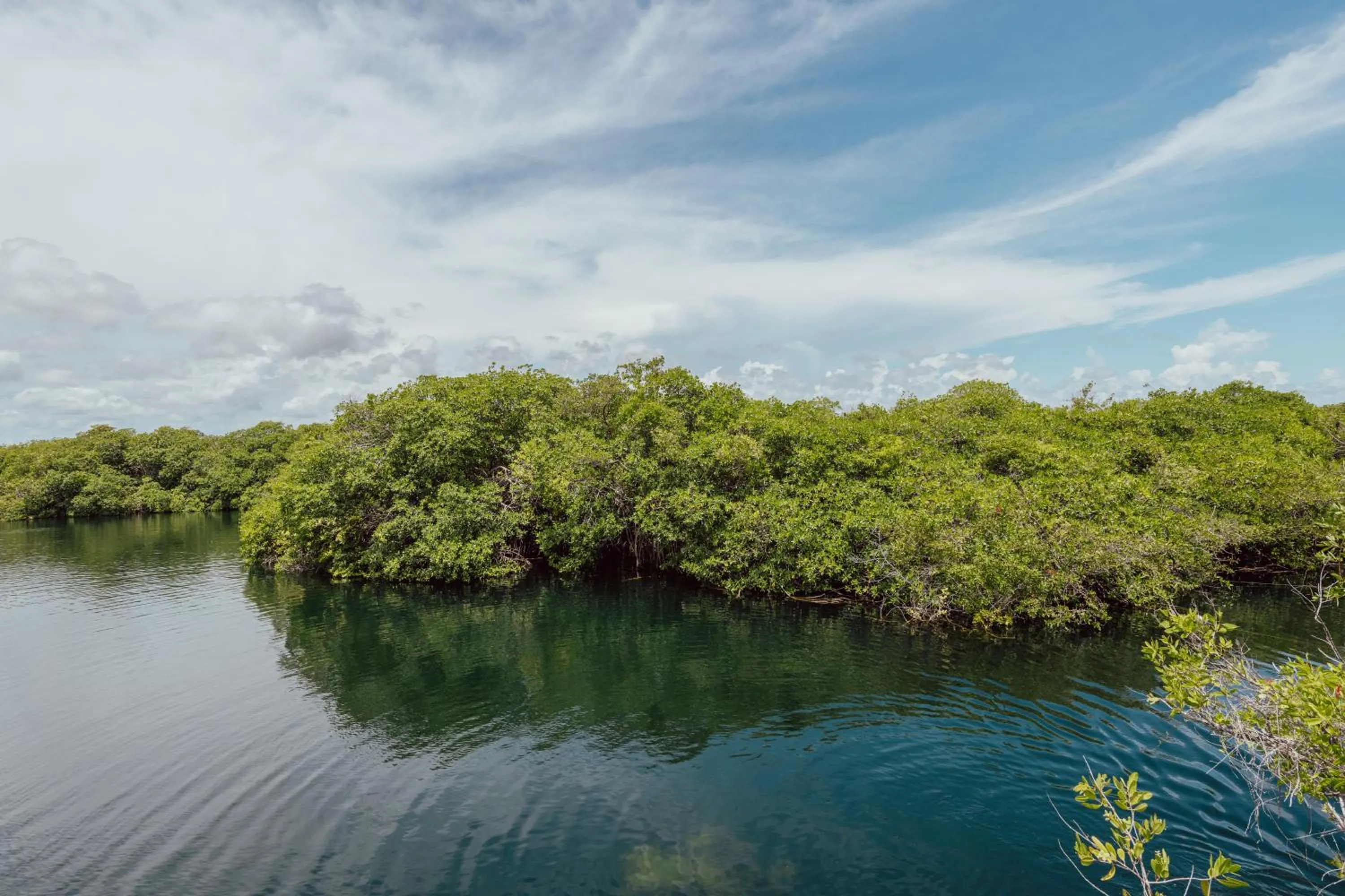 Natural landscape in Yaxchen Tulum Cabañas & Cenote