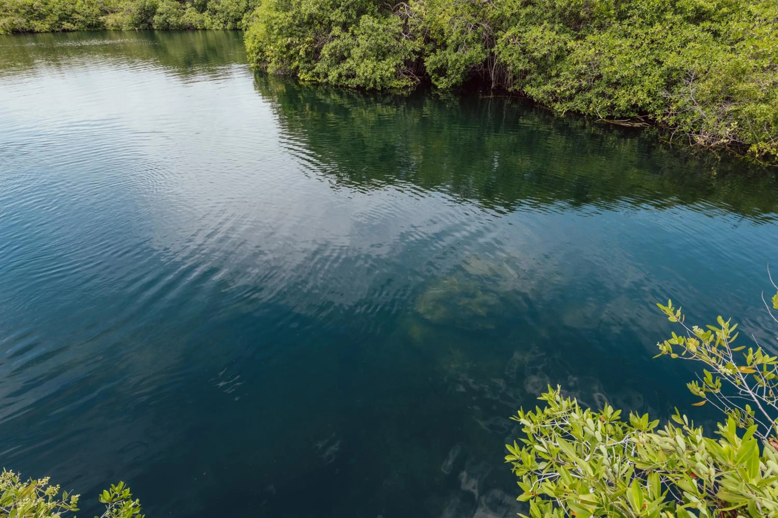 Lake view in Yaxchen Tulum Cabañas & Cenote