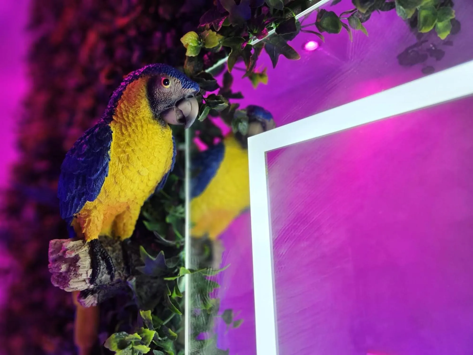Bathroom in B&B Villa Maracujà