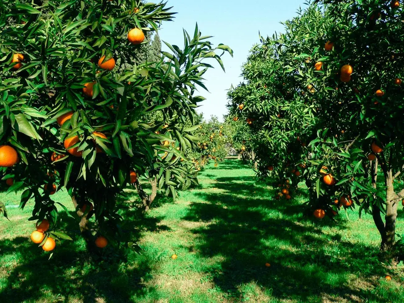 Property building in Tartheshotel Property building in Tartheshotel