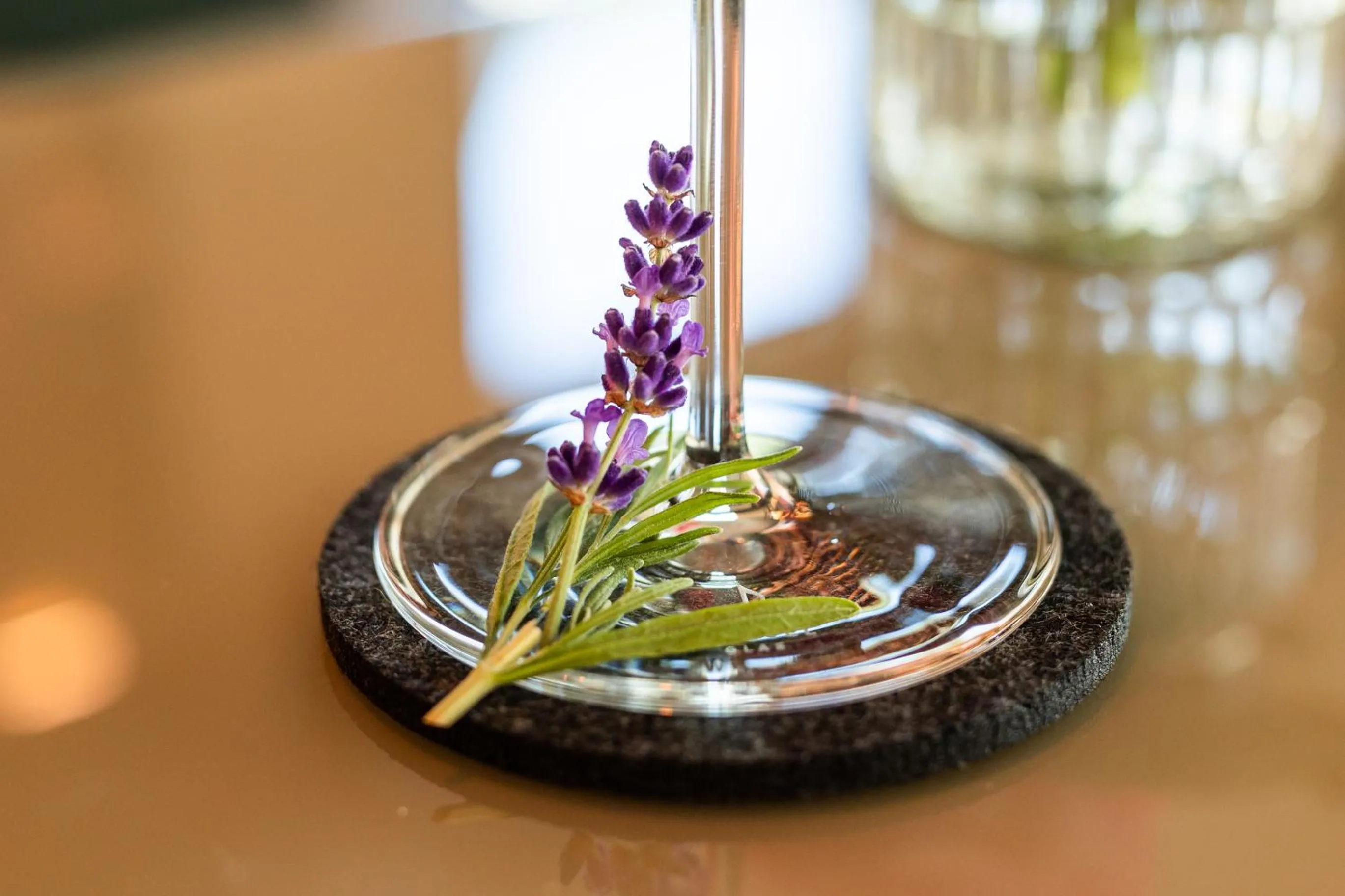 Lounge or bar in DEINHARD's