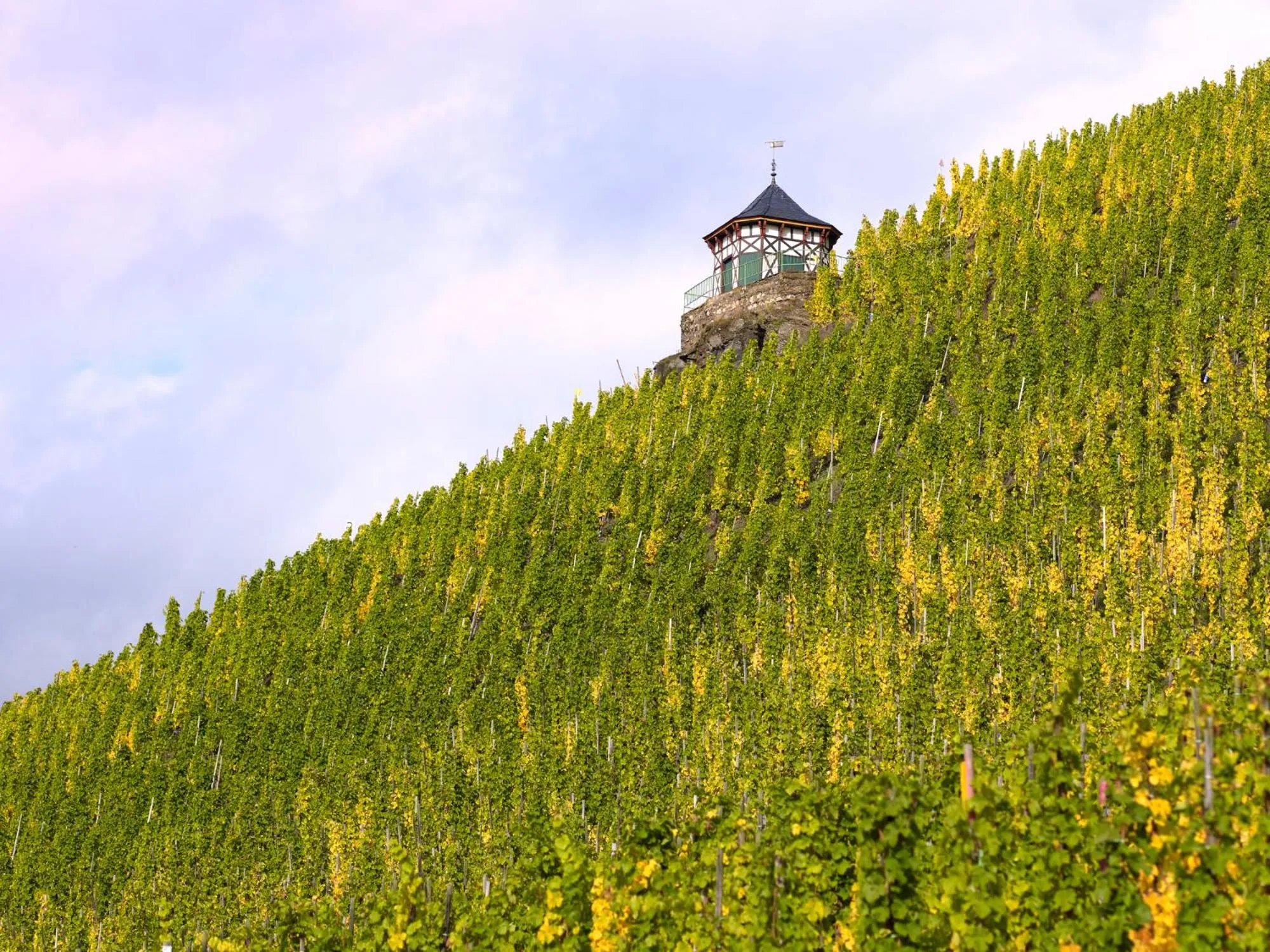 Nearby landmark in DEINHARD's