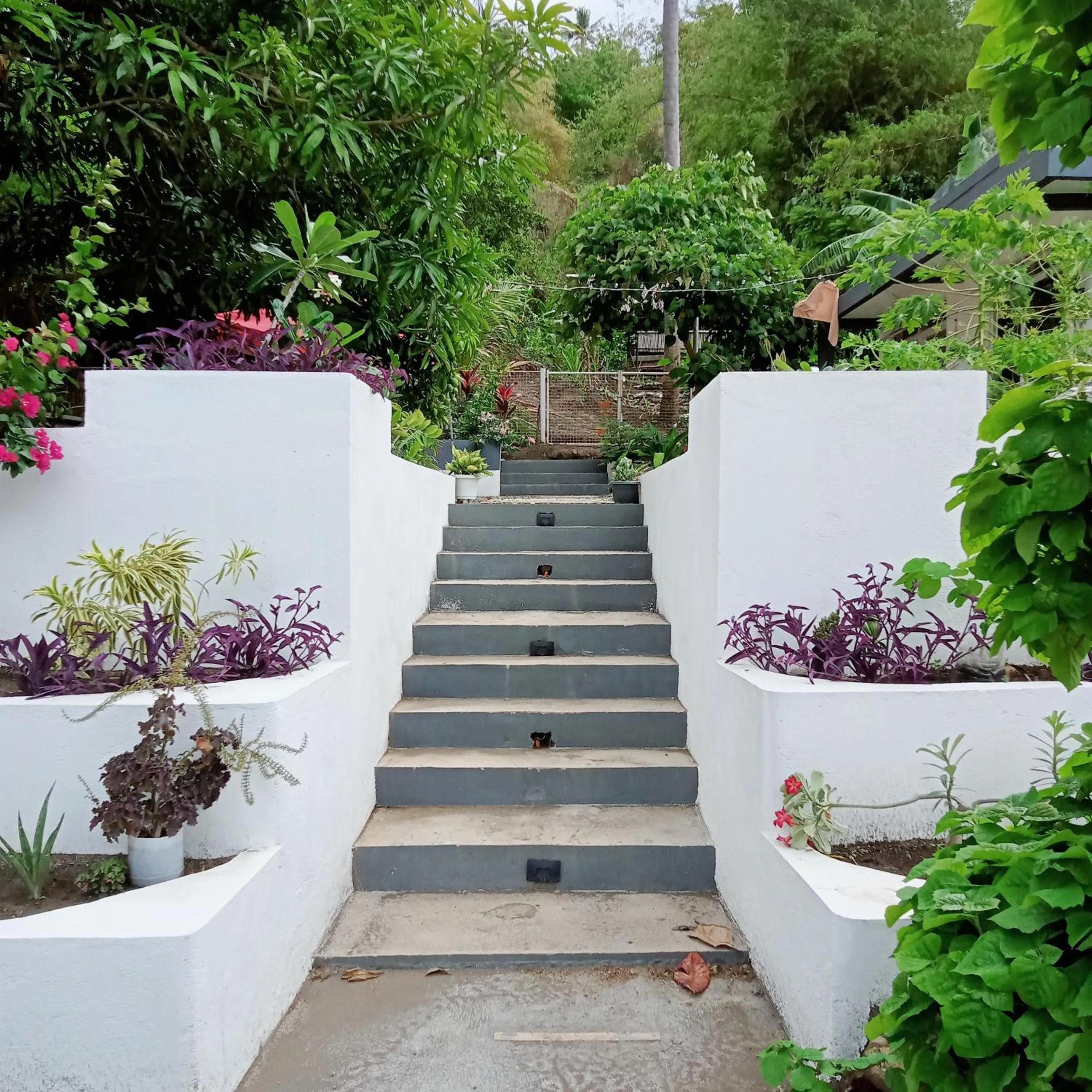 Garden view in Baywalk Suites Batangas