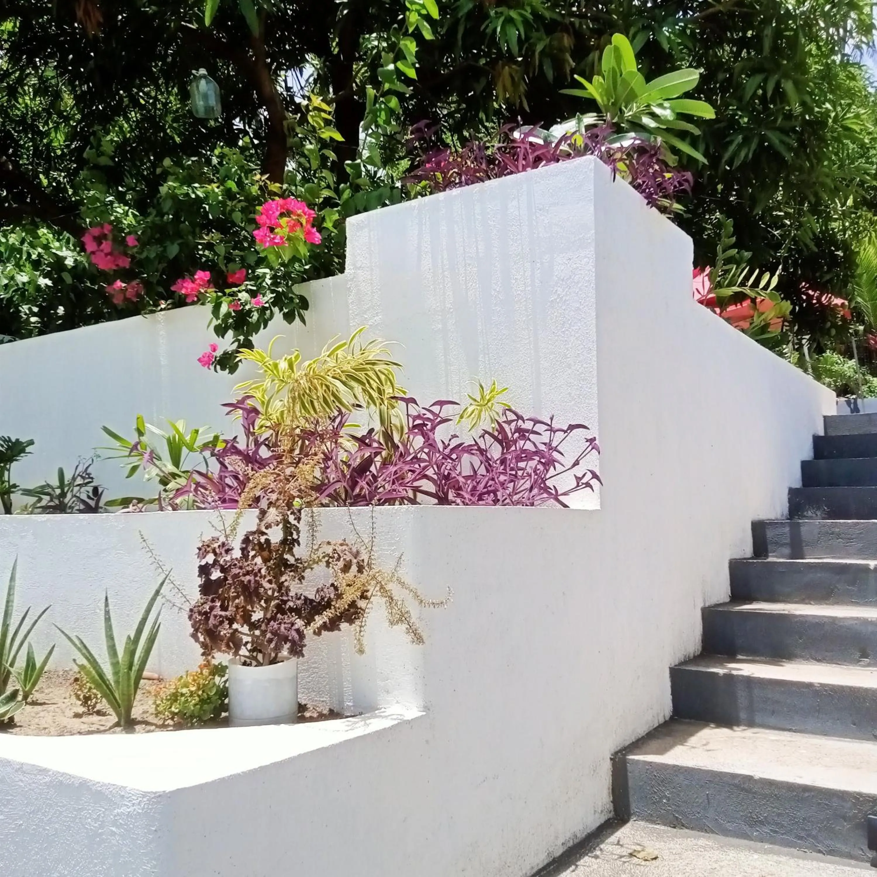 Garden view in Baywalk Suites Batangas