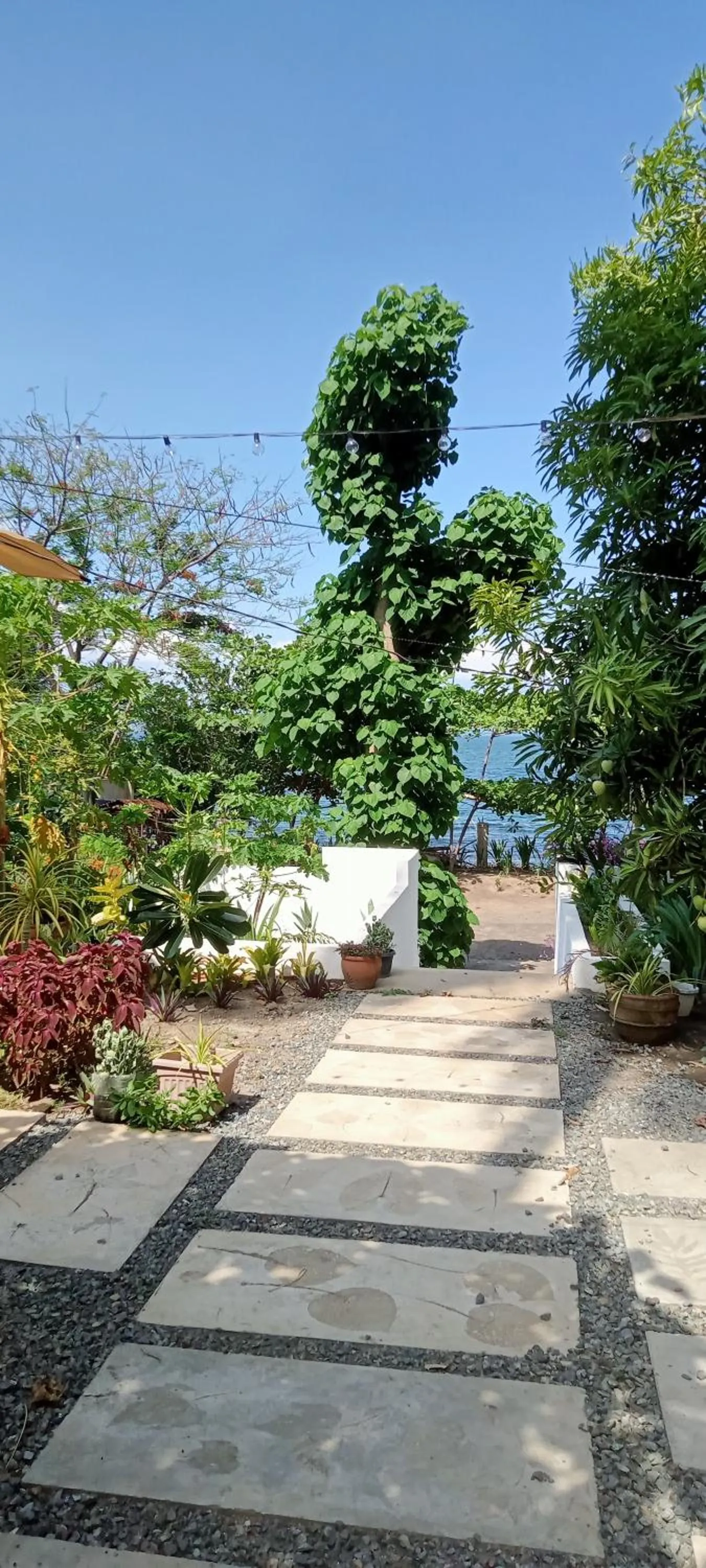 Garden in Baywalk Suites Batangas