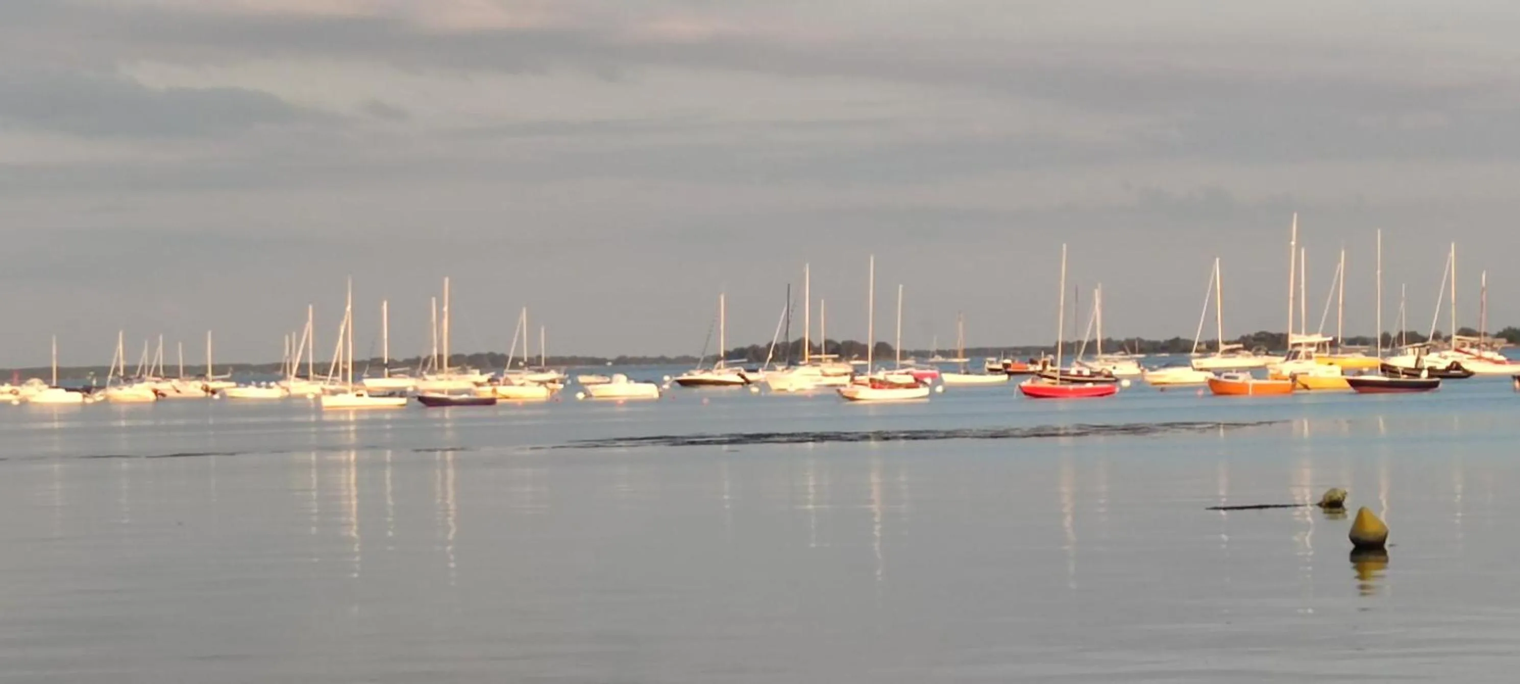 Au Bord du Golfe du Morbihan