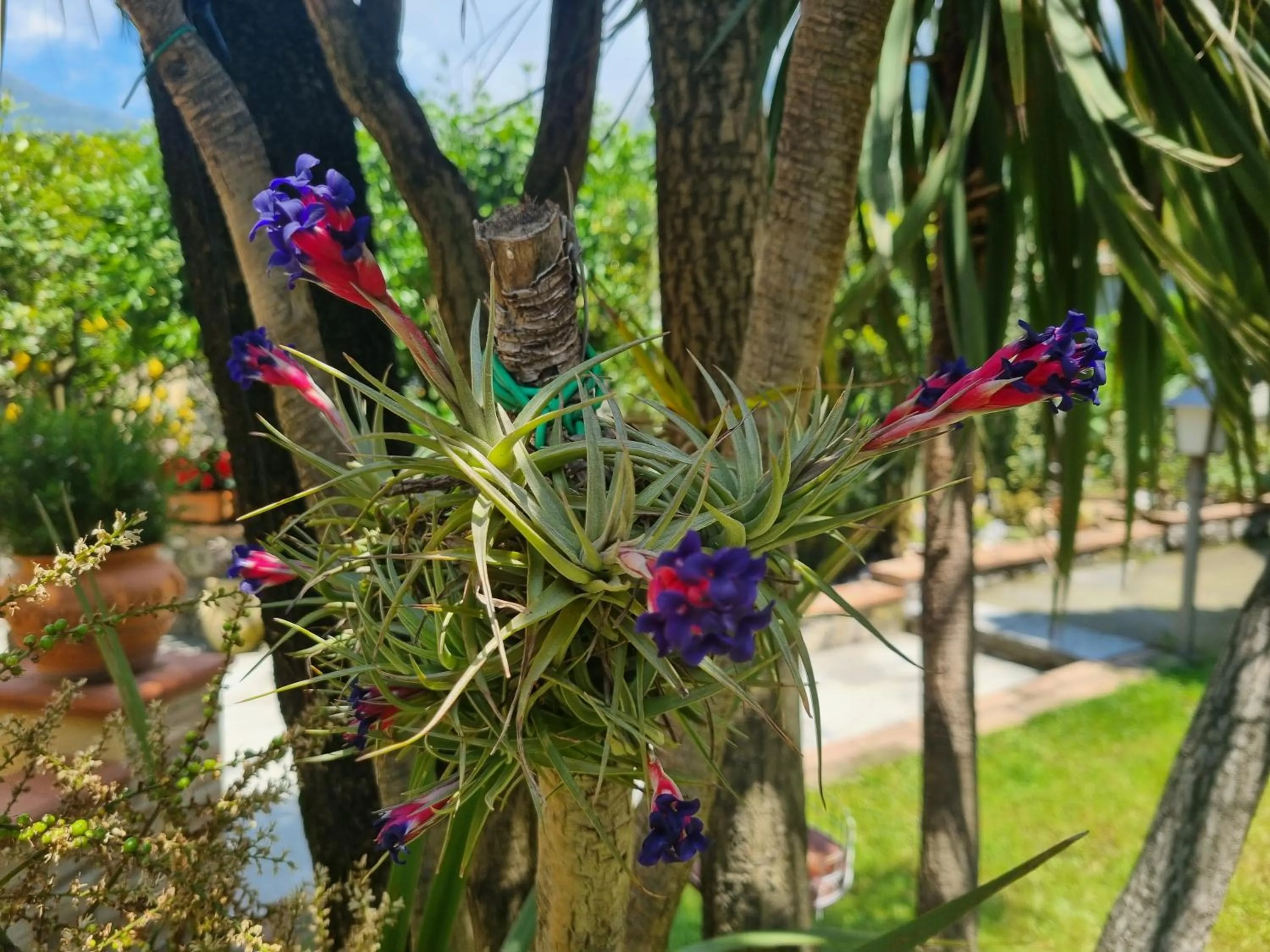 Natural landscape in Il Ruscello
