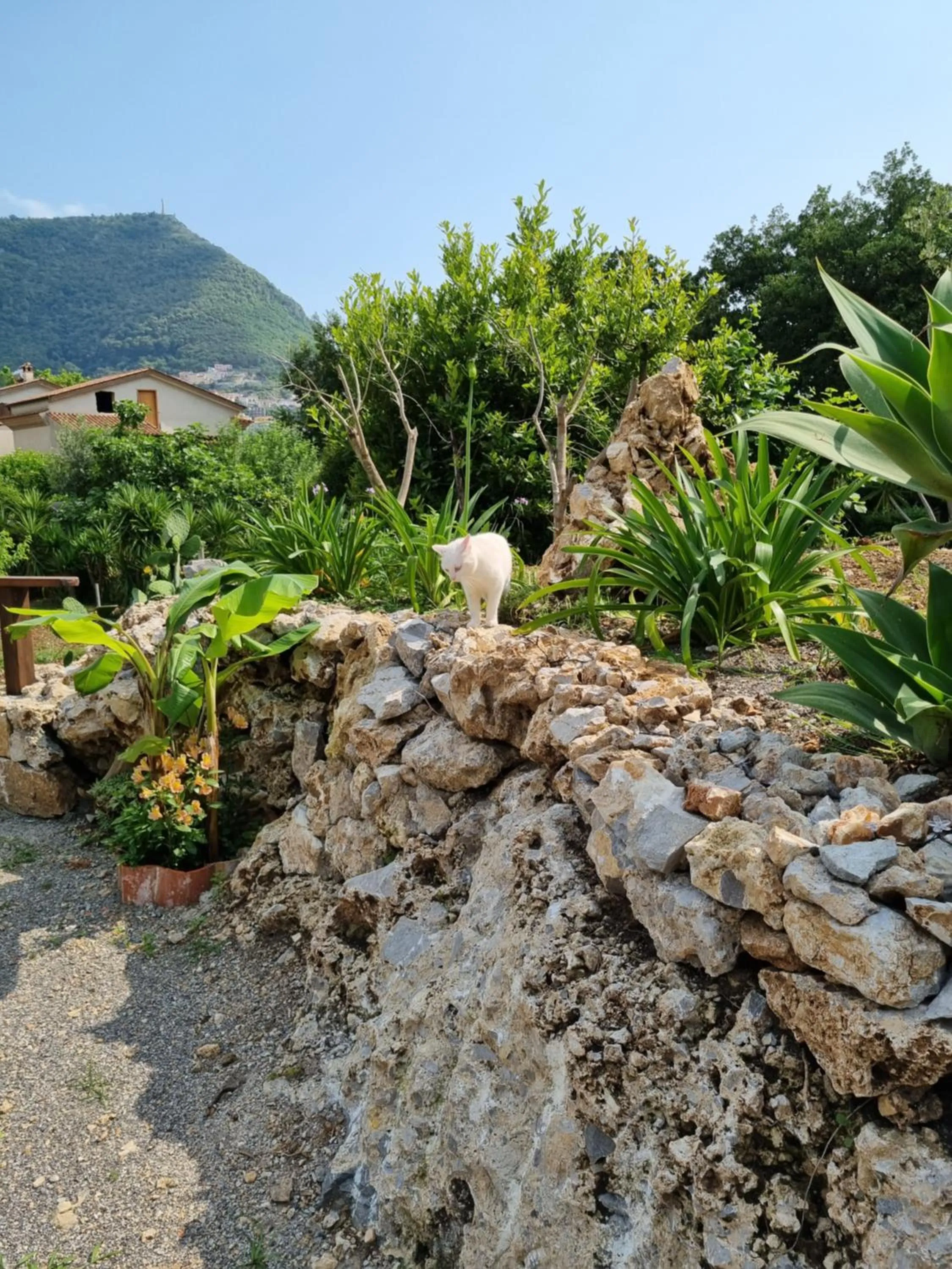 Parking in Il Ruscello