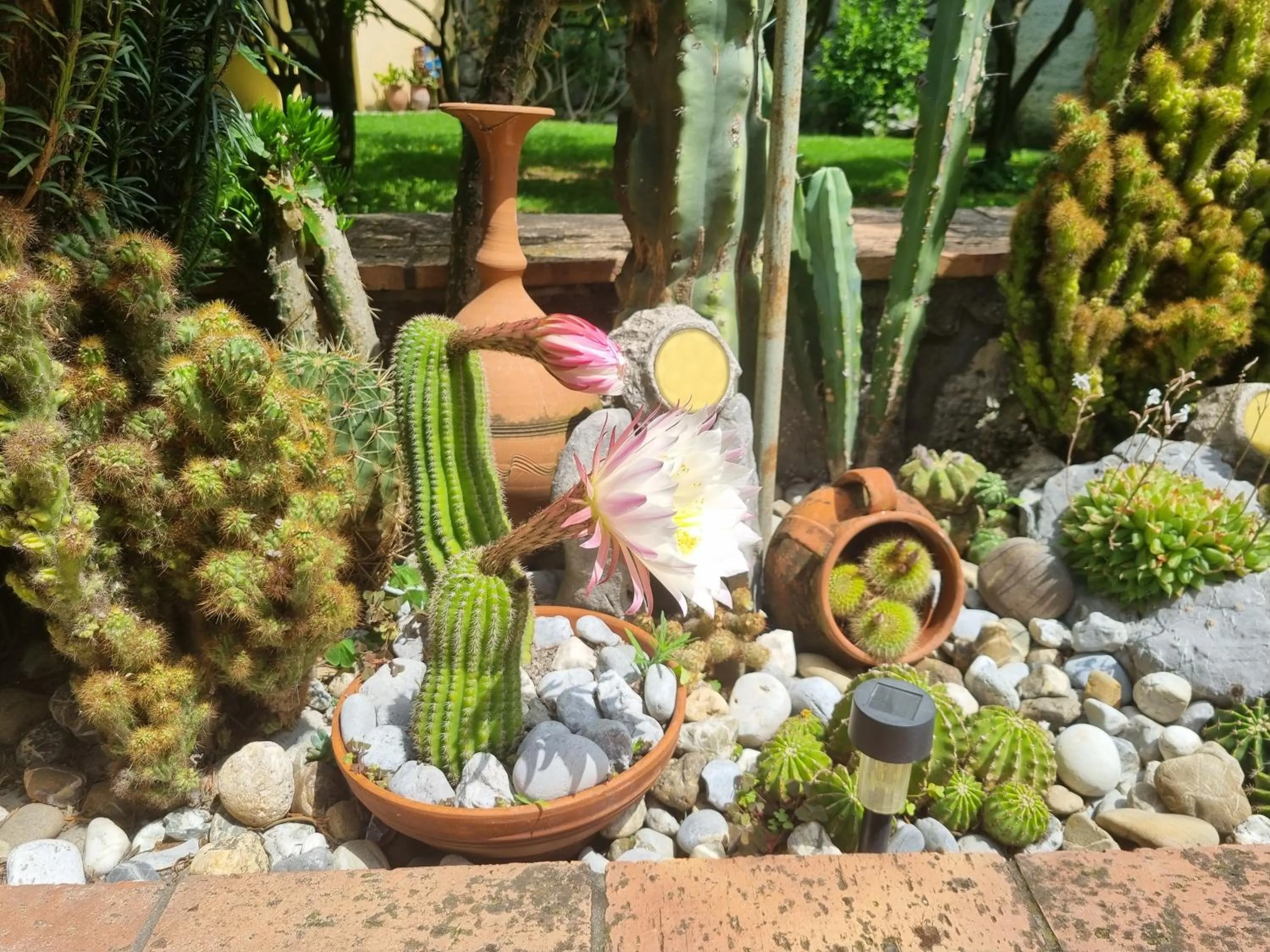 Garden in Il Ruscello