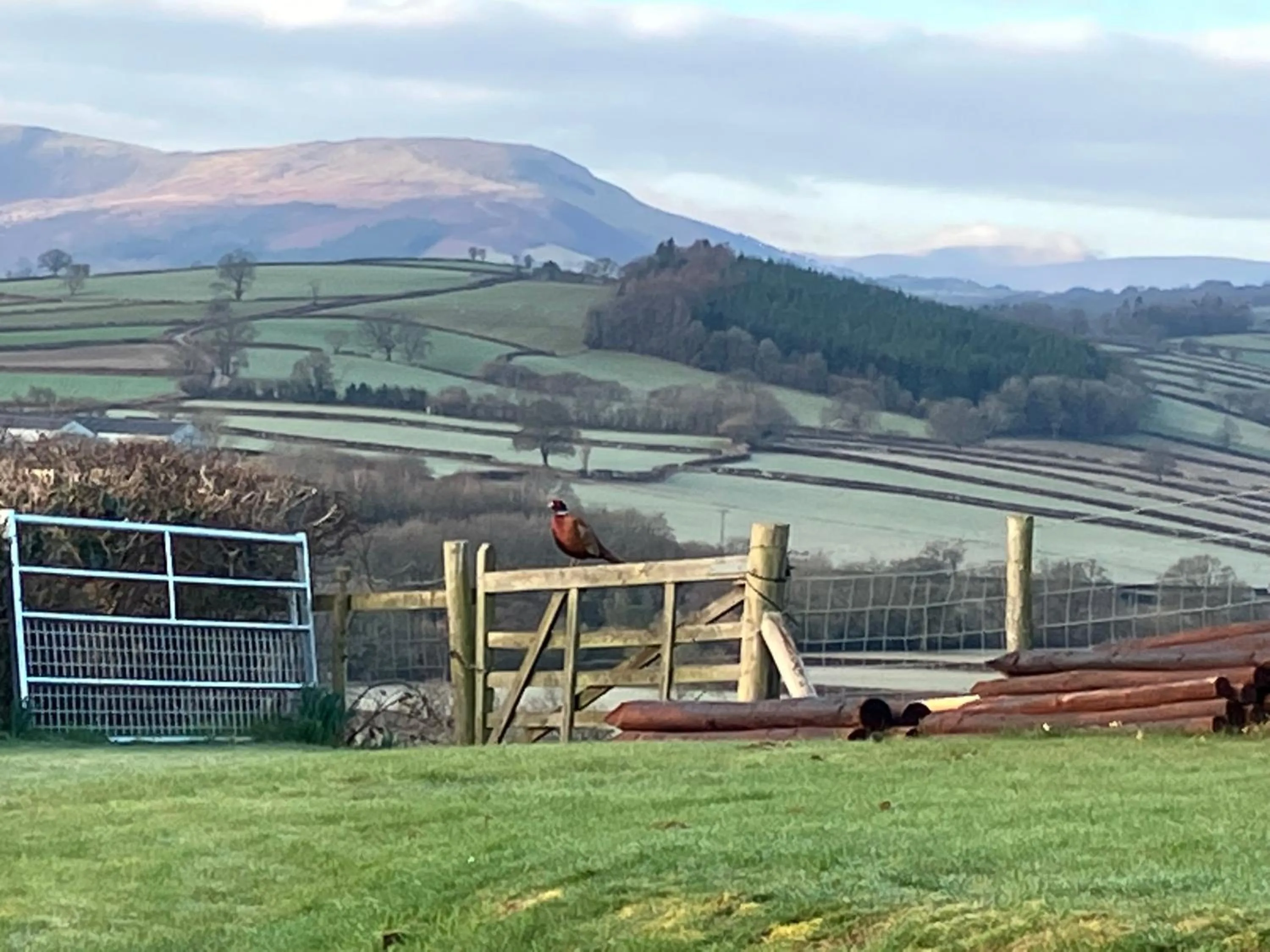 View (from property/room) in Beaconsview B&B