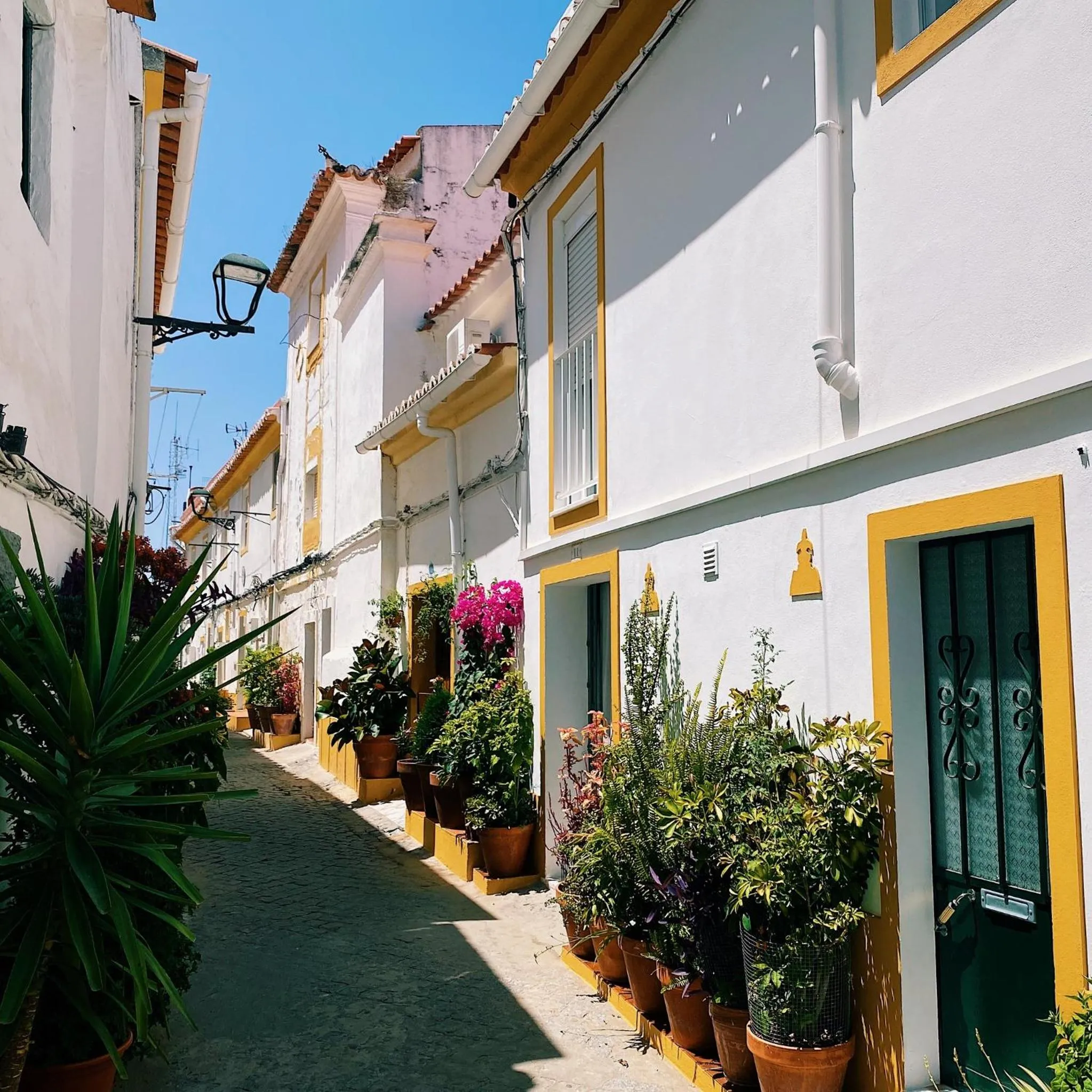 Street view in The Bastion Elvas Apartments