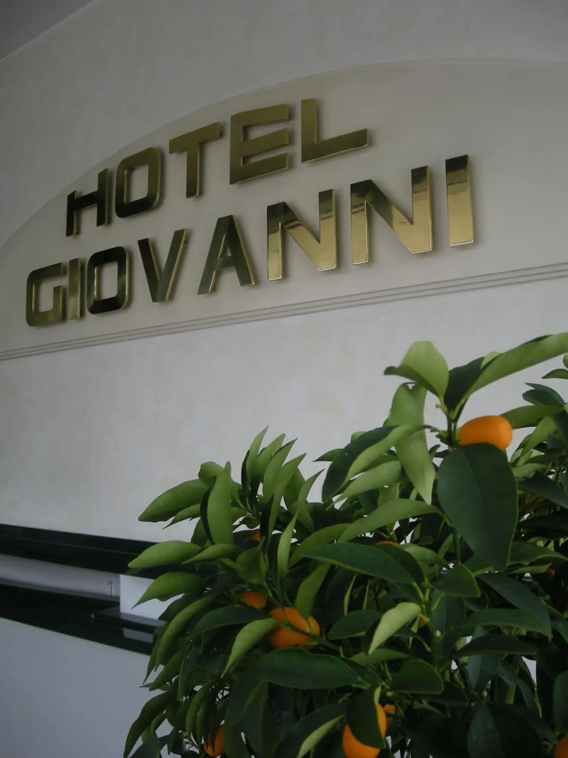 Logo/Certificate/Sign in Hotel Giovanni