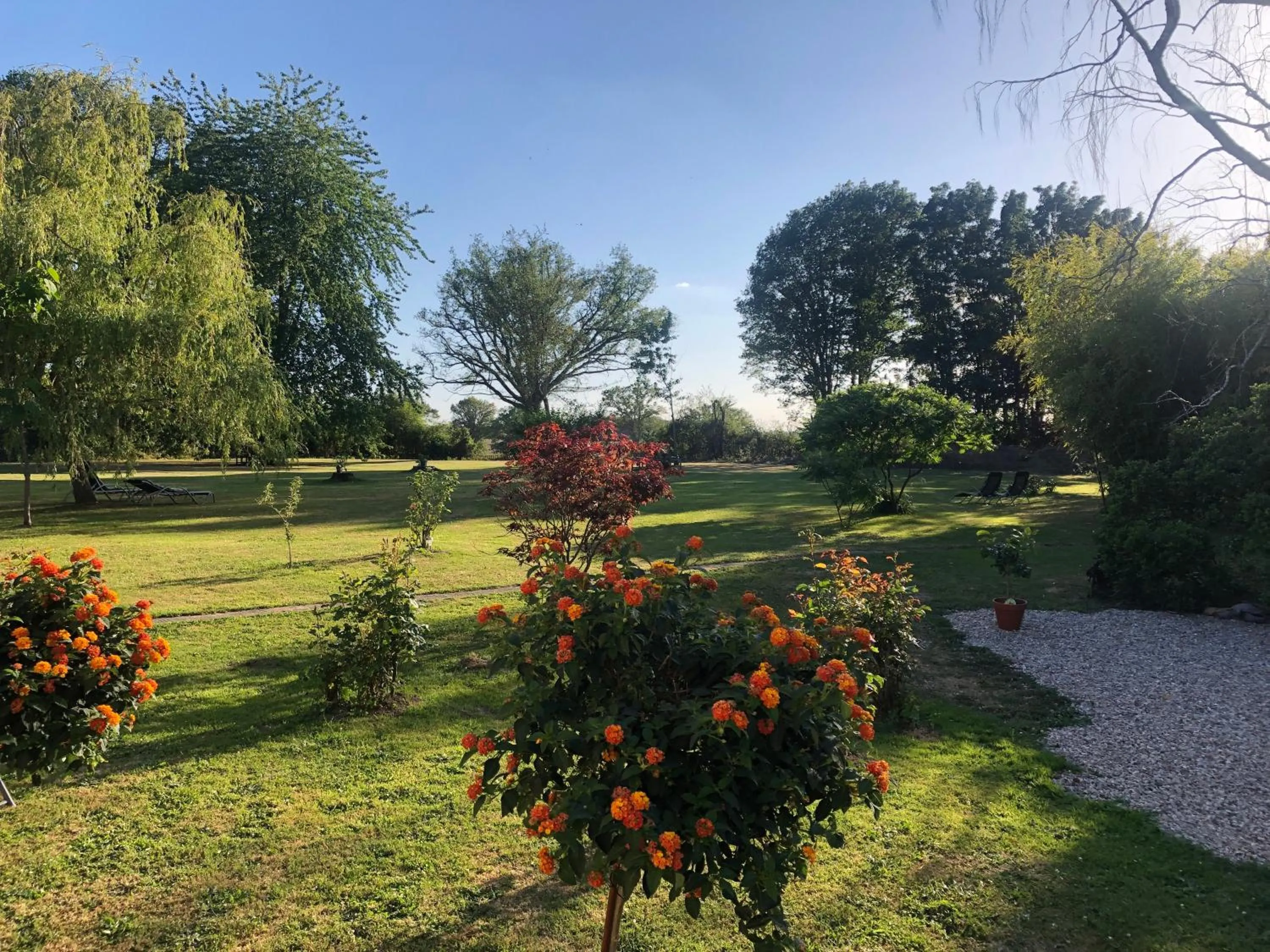 View (from property/room) in Champ Du Bois