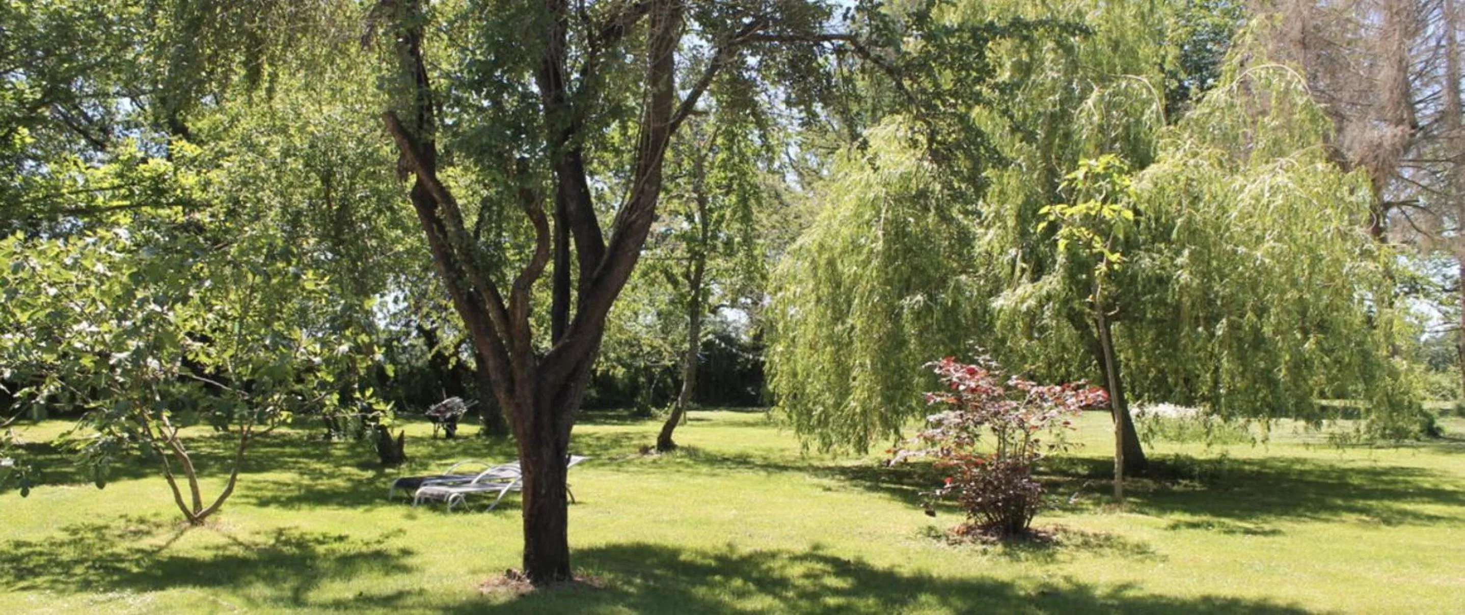 Garden in Champ Du Bois