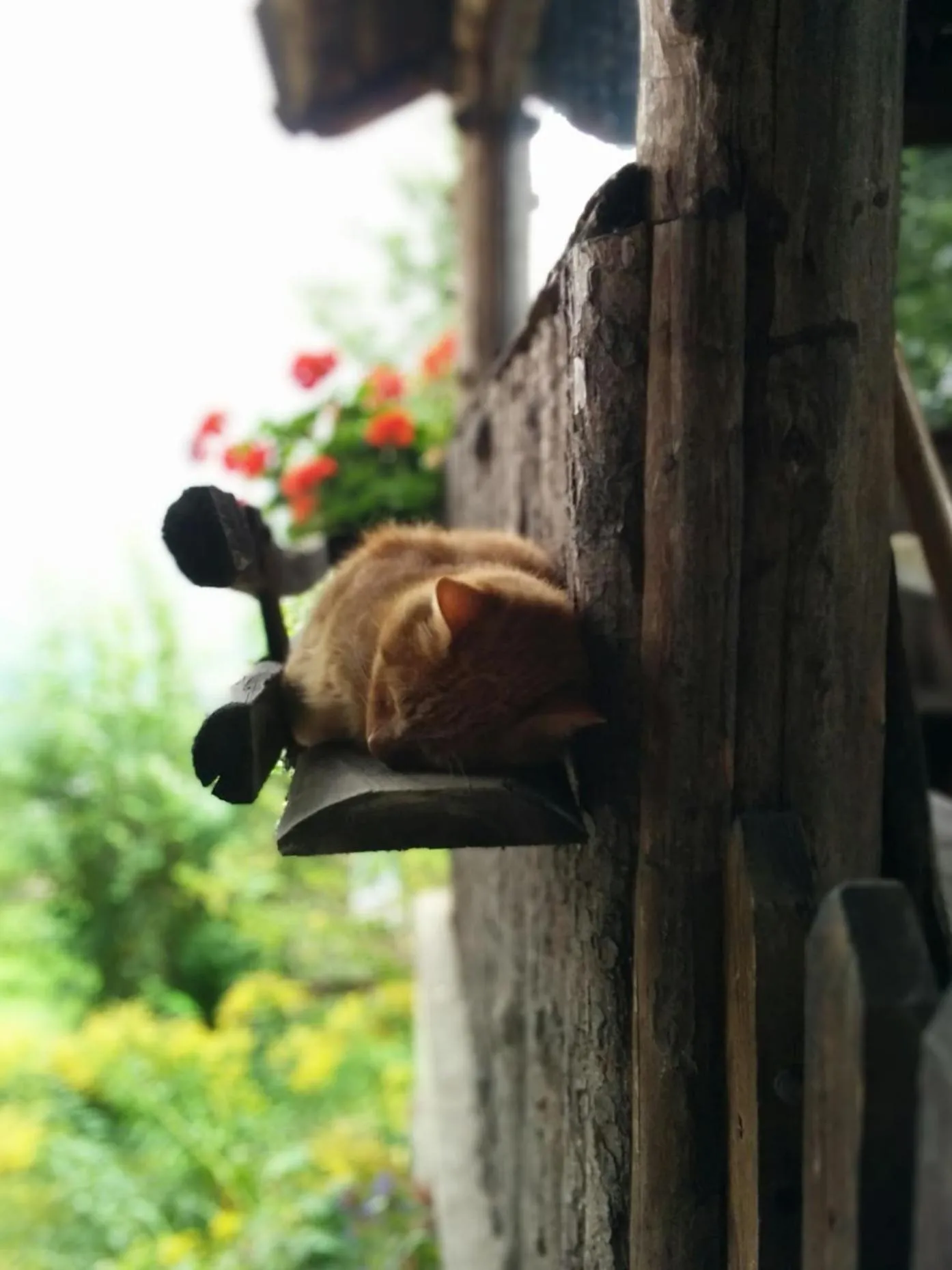 Day in Unterbrunnerhof