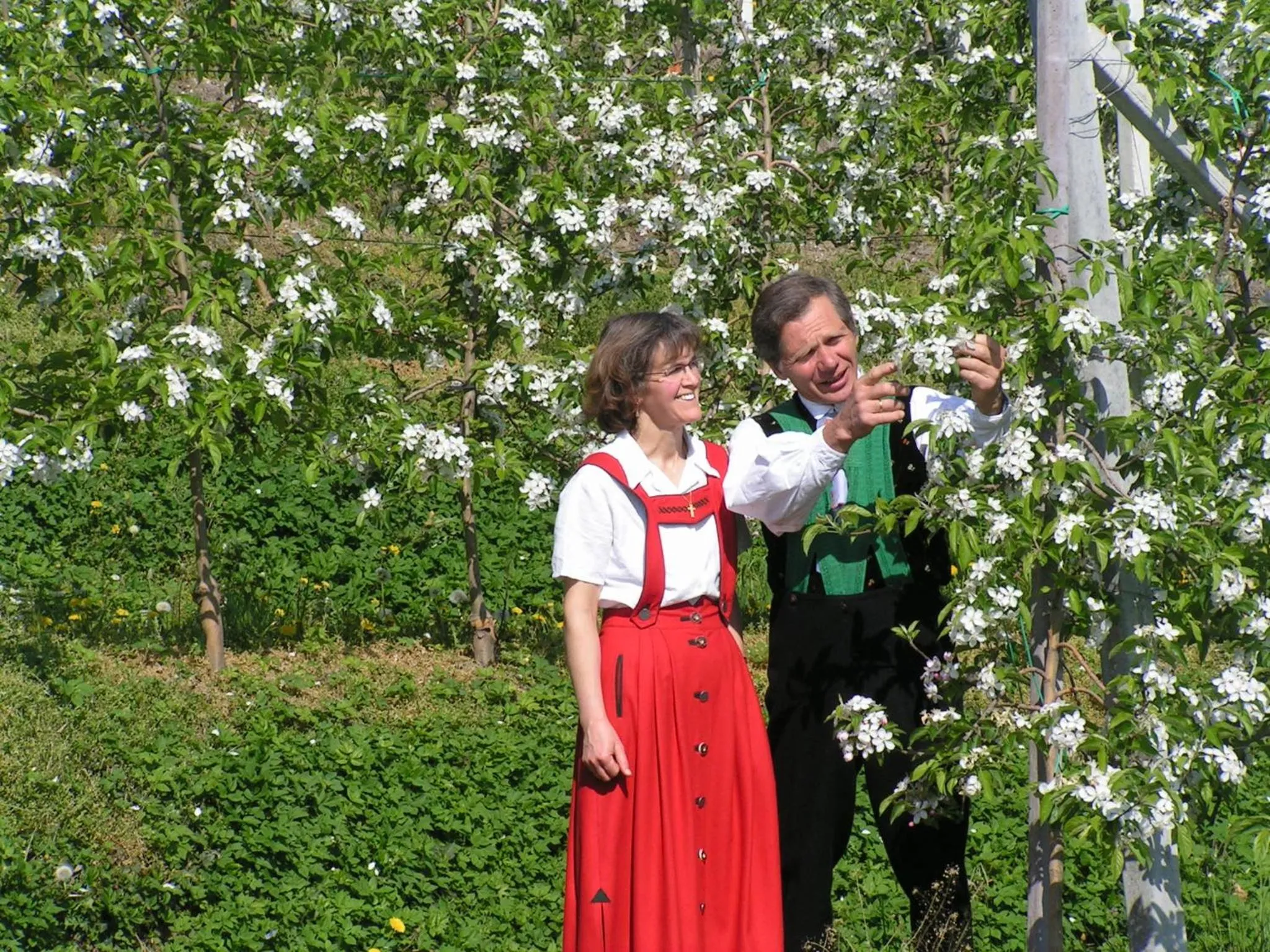 Spring in Unterbrunnerhof