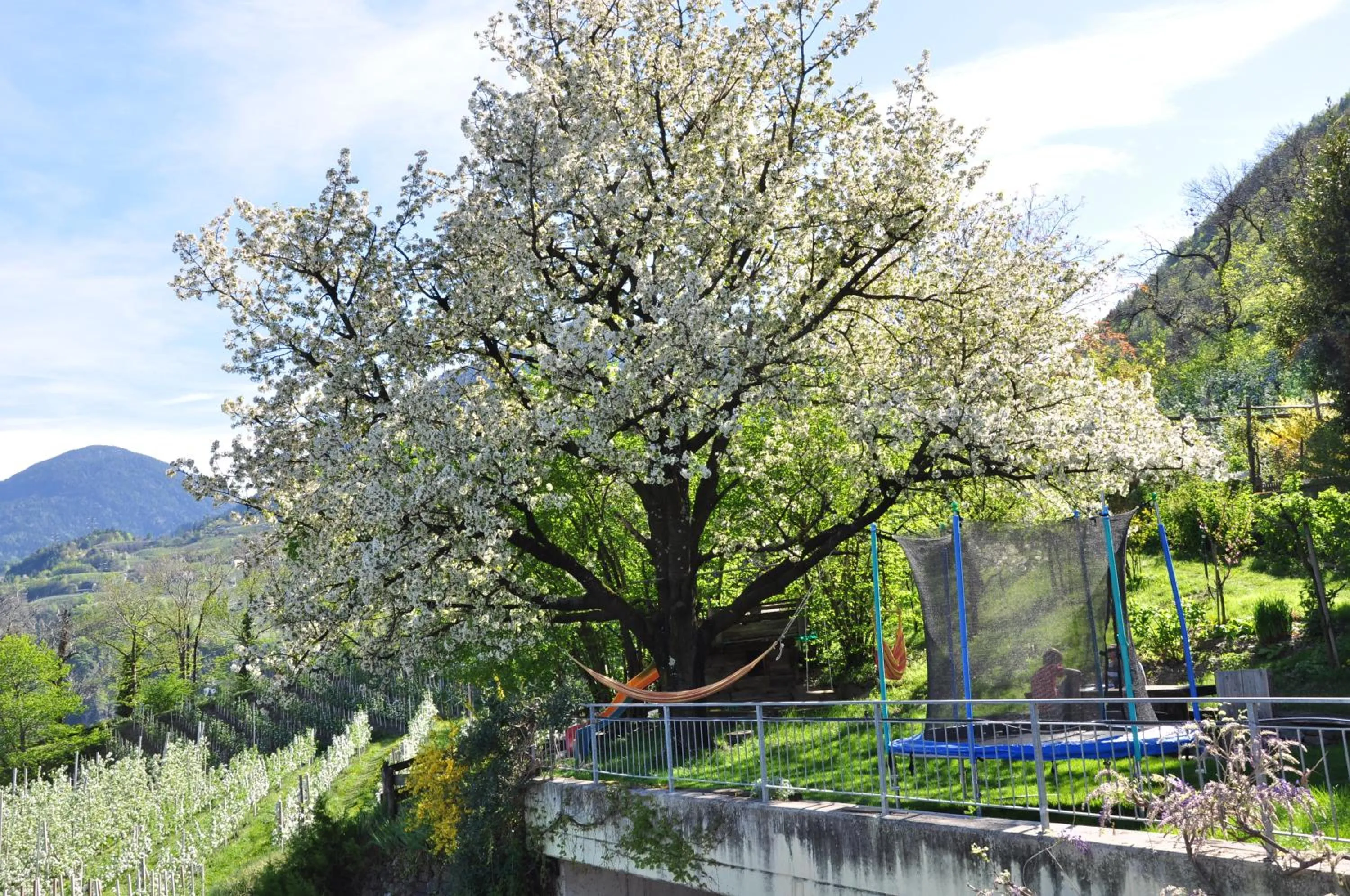 Day in Unterbrunnerhof