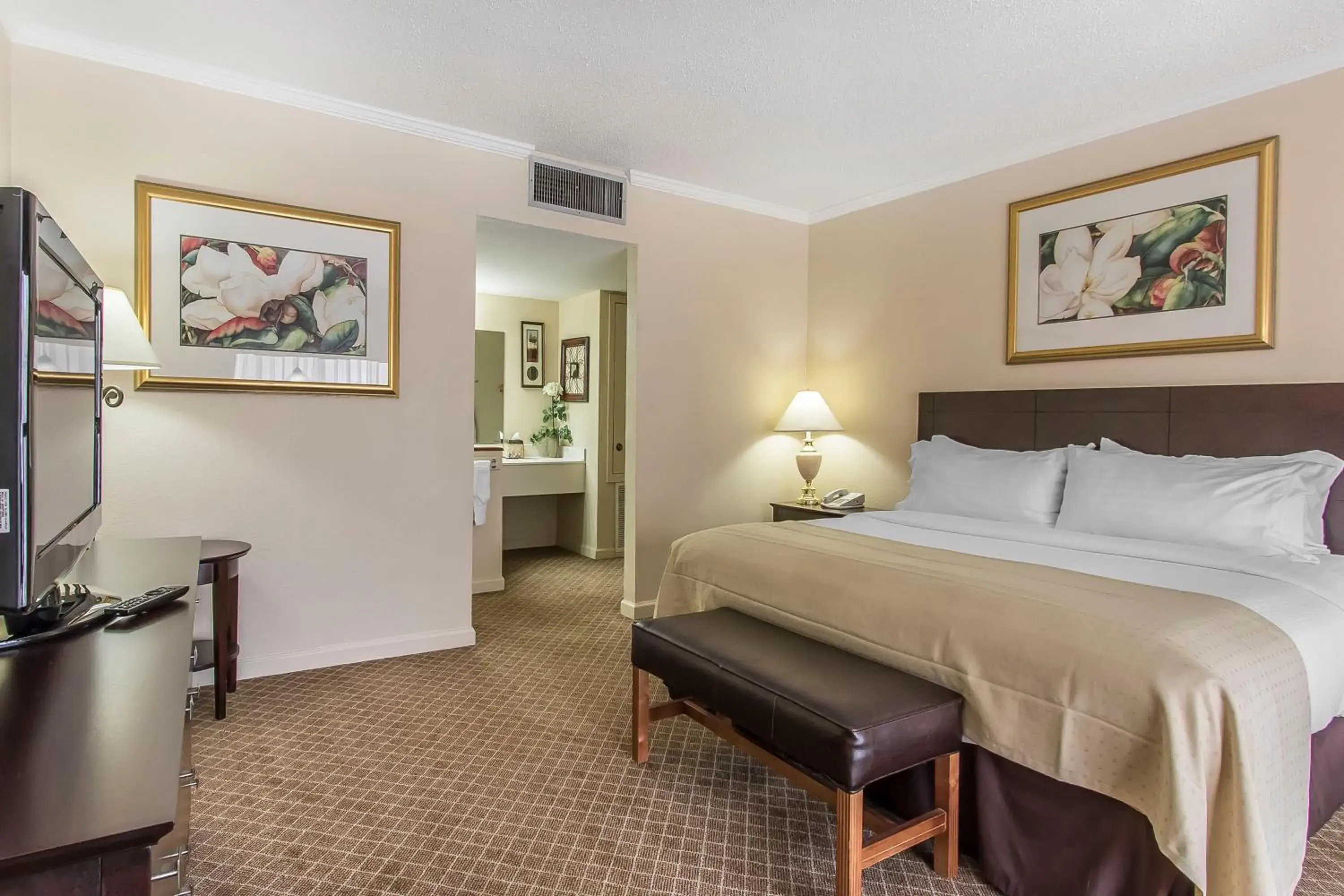 Bed in Quality Inn Morgan City Bed in Quality Inn Morgan City