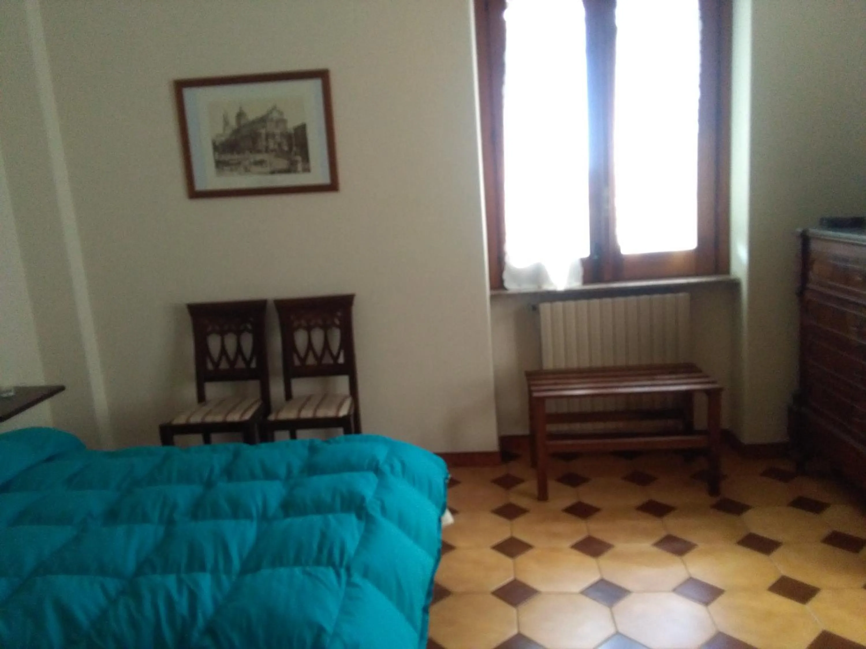Il Vigneto