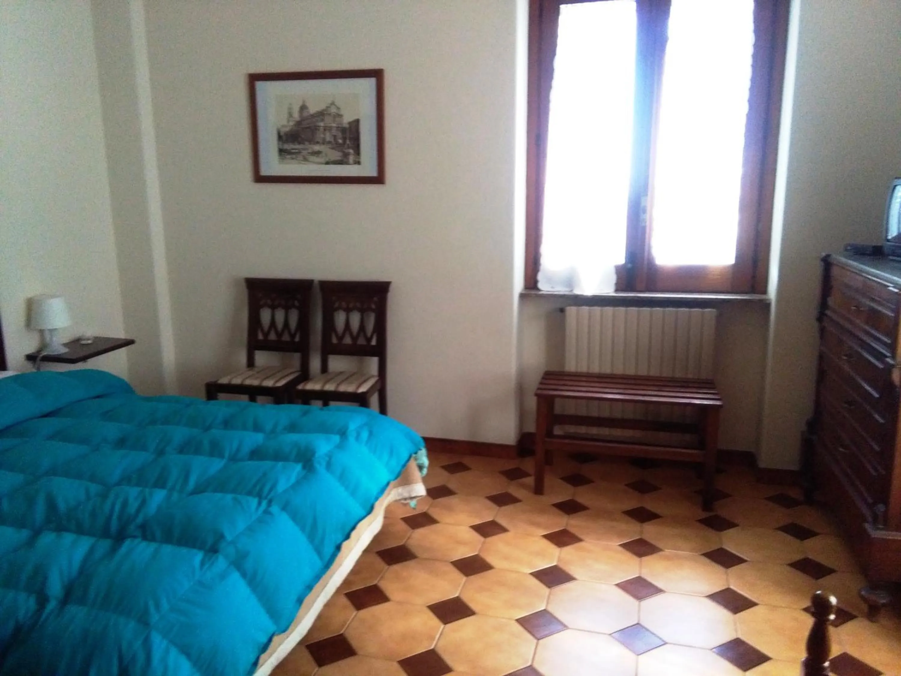 Il Vigneto