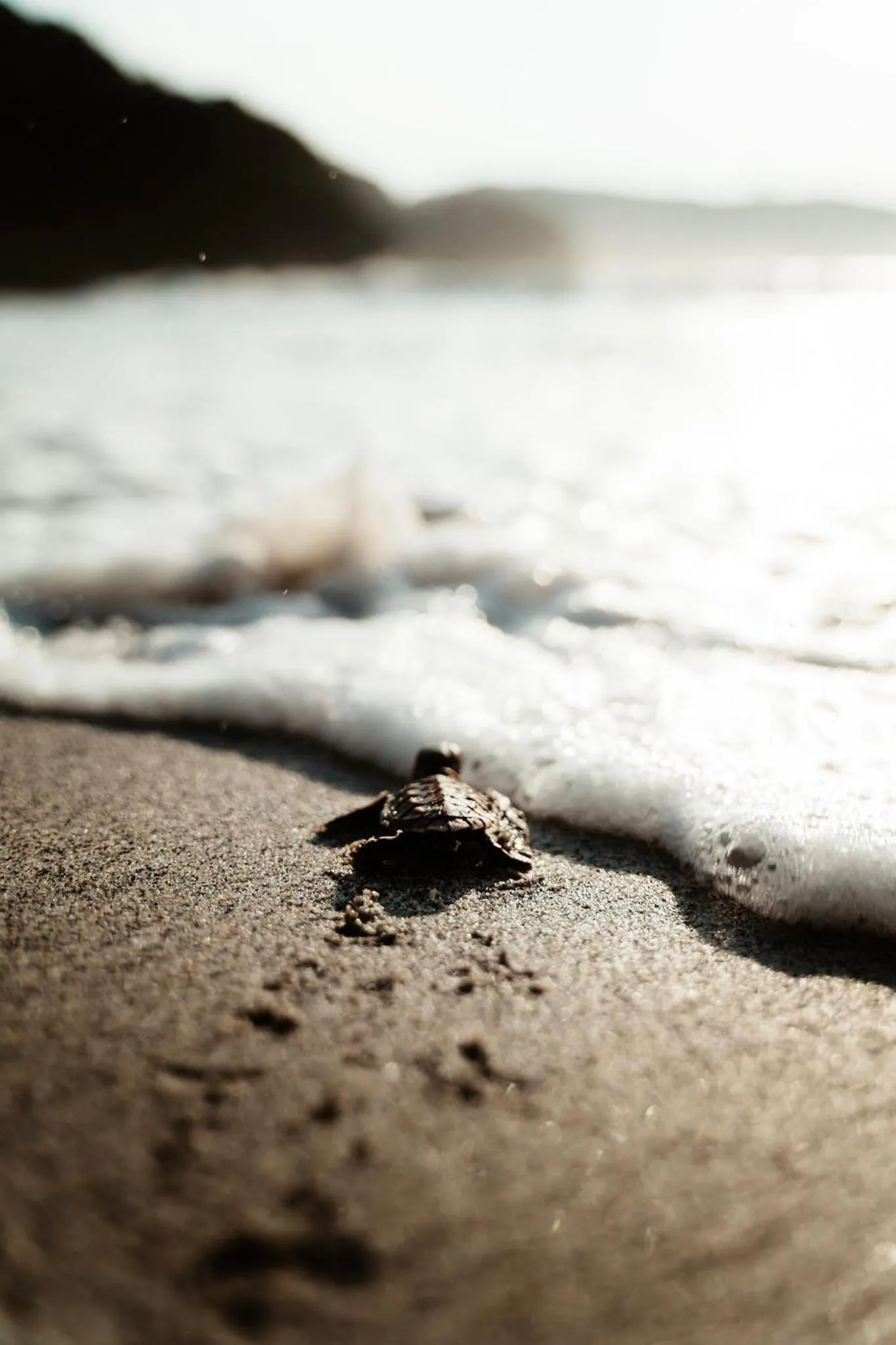 Kirana Retreat - Beach Front Resort