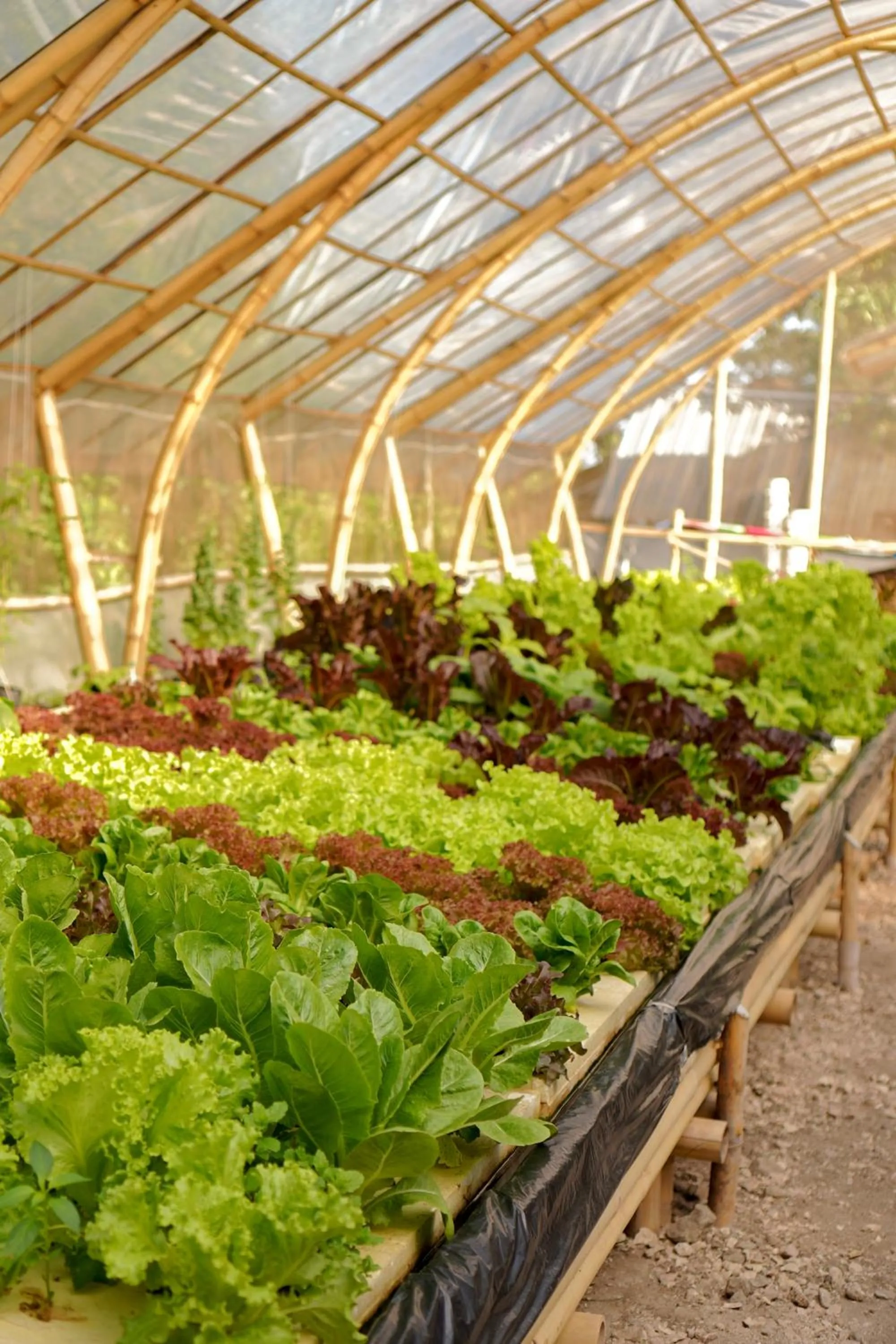 Kirana Retreat - Beach Front Resort