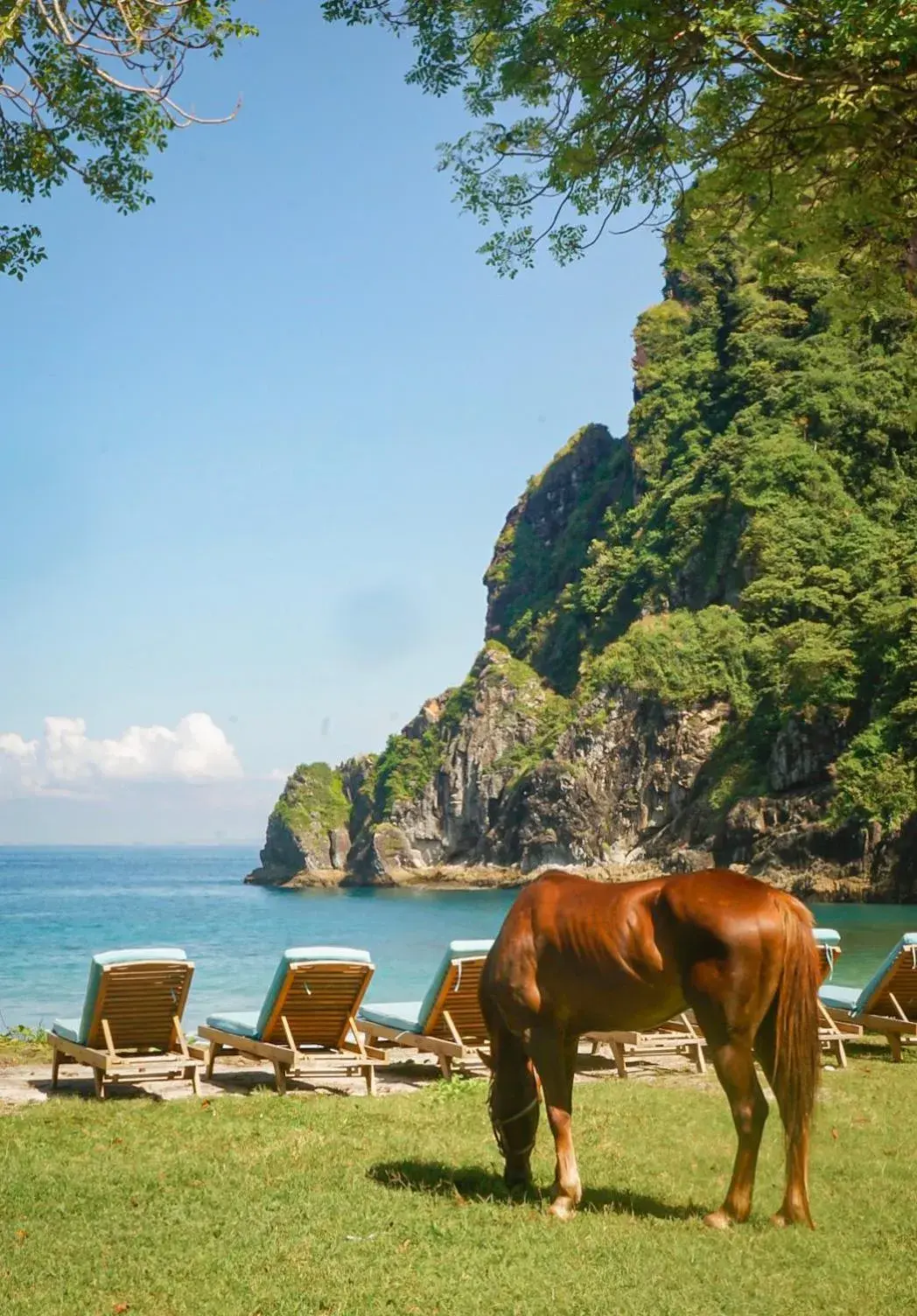 Bungalow with Beach View in Kirana Retreat - Beach Front Resort Bungalow with Beach View in Kirana Retreat - Beach Front Resort