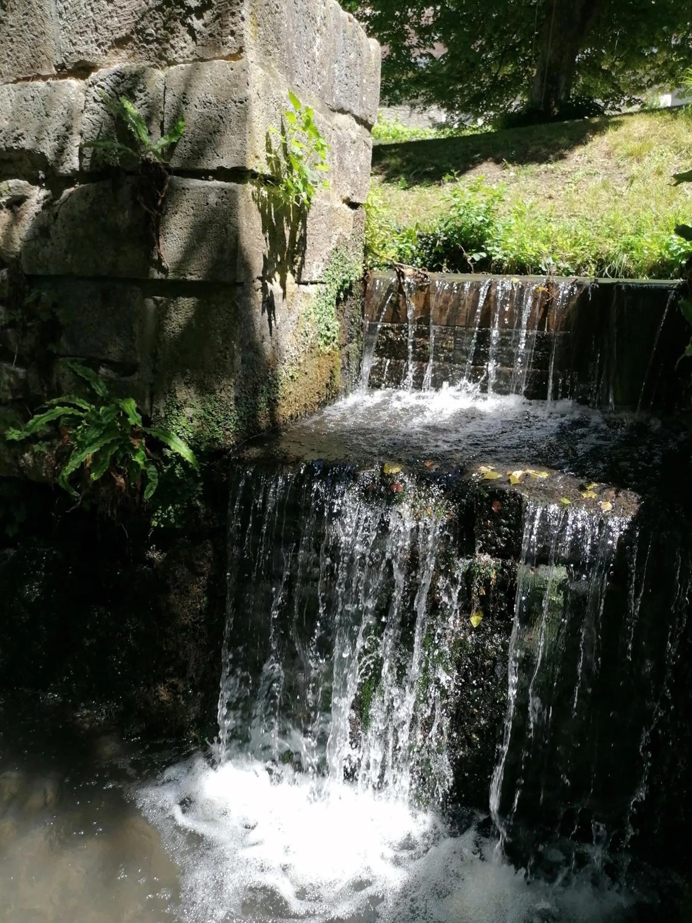 Natural landscape in Le moulin du Mesnil
